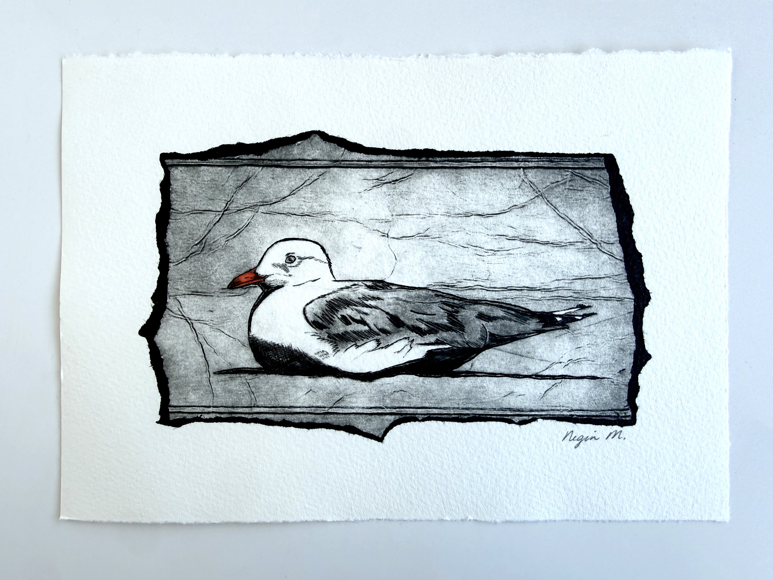 NeginMaddock_TetraPak_Printmaking_RestingSeagull_1.jpg