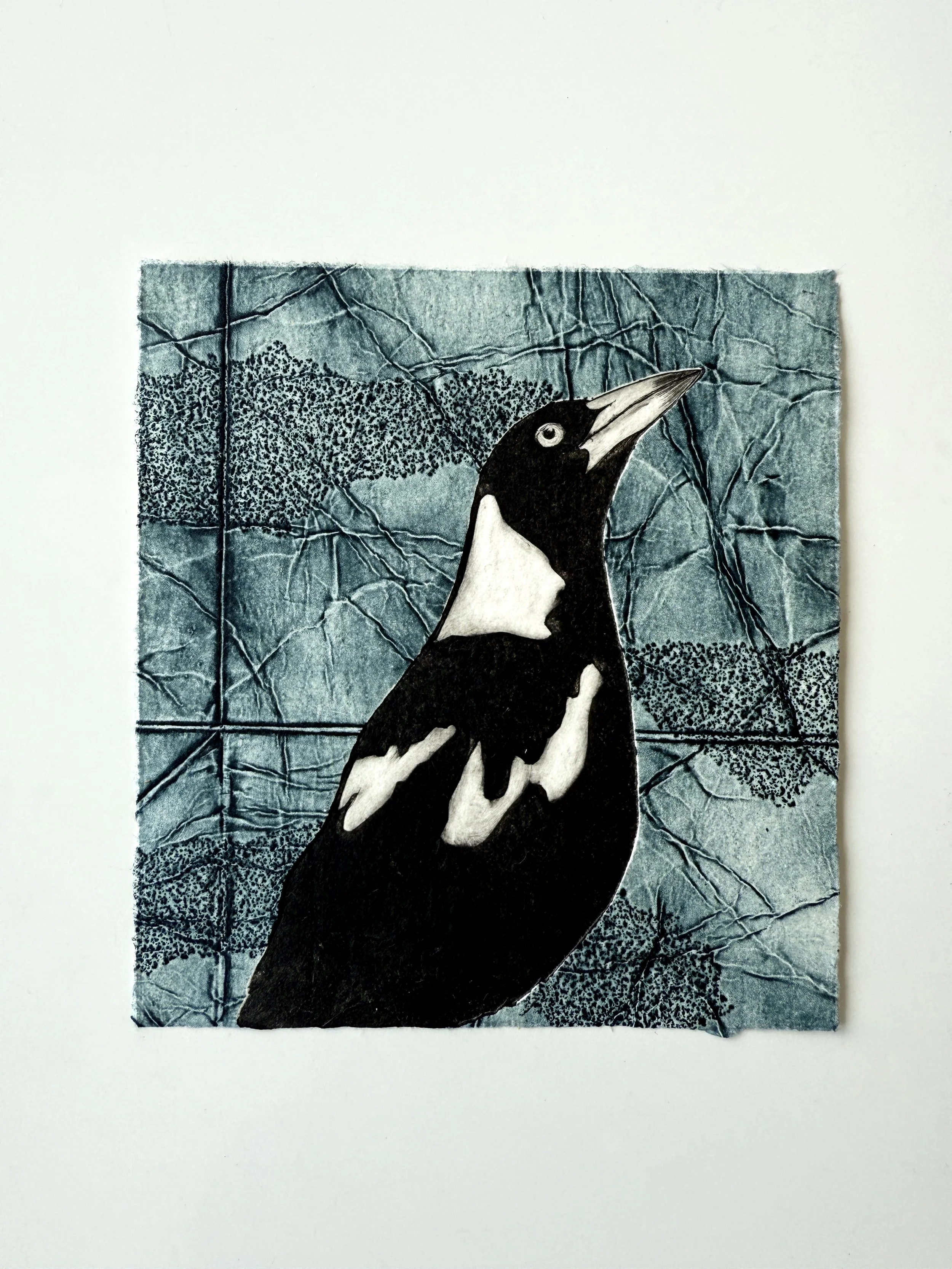 Magpie_TetraPak_4.jpg