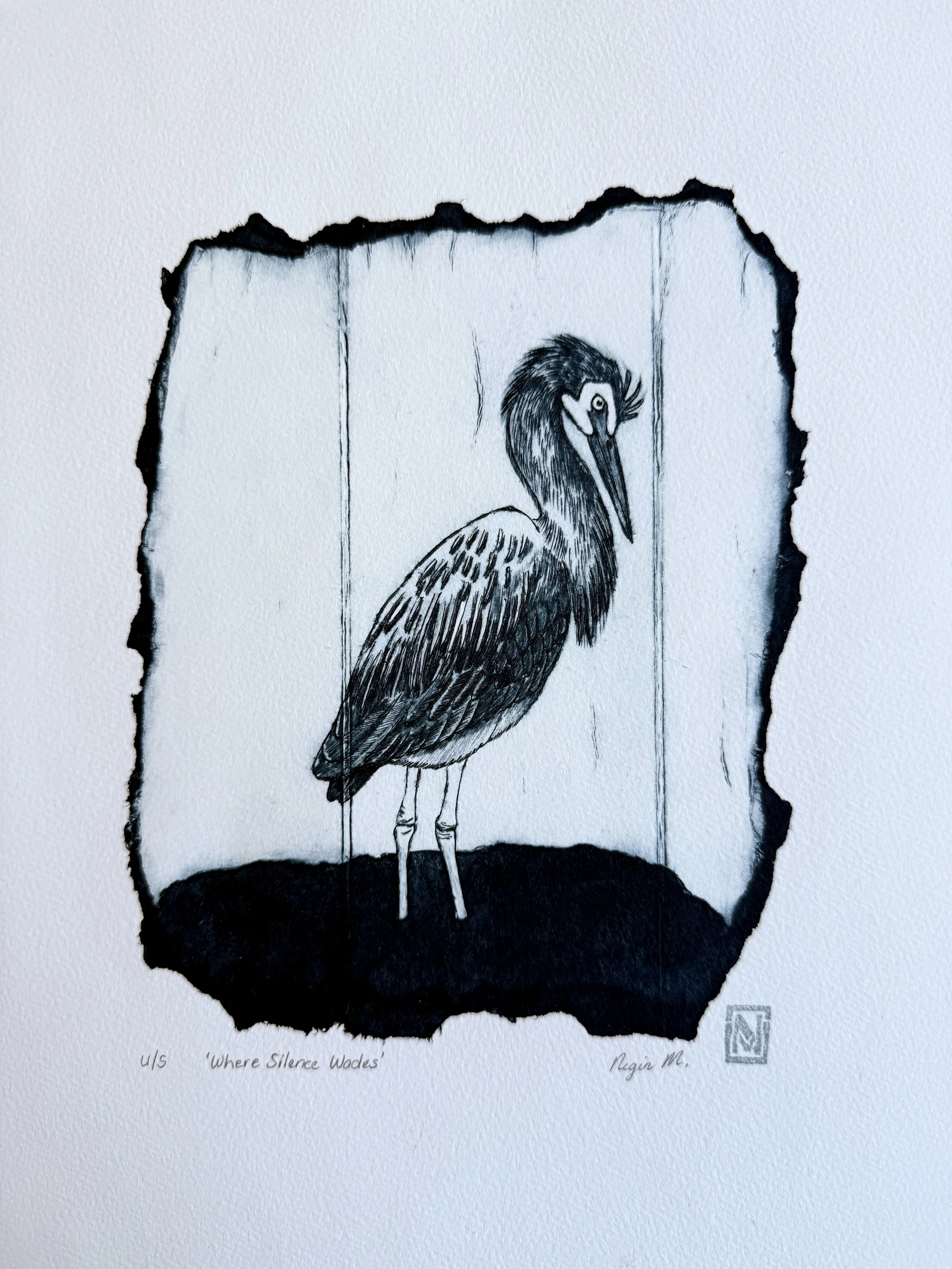 White_Faced_Heron_Print_2.jpg