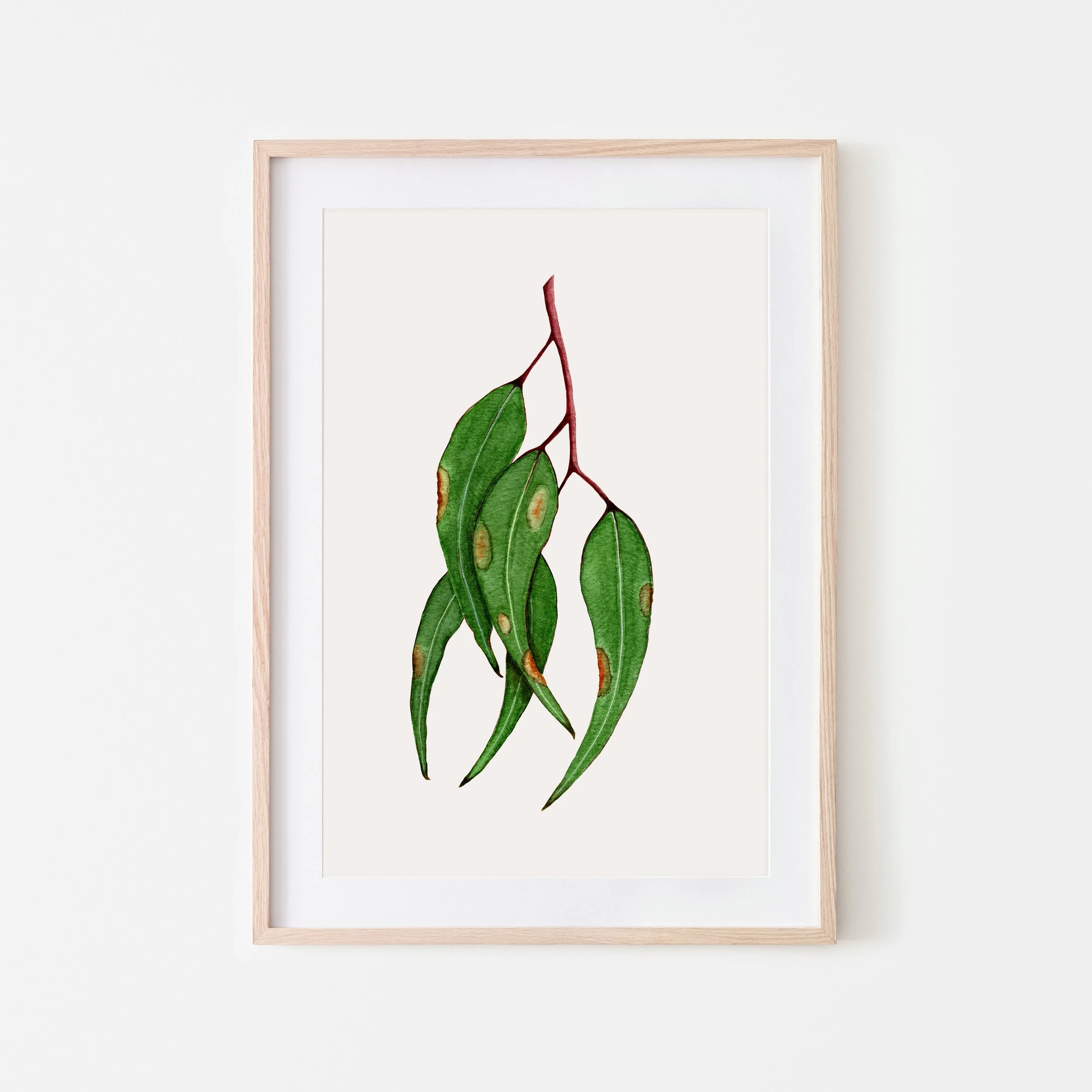 Art Print - PAINTED GUMLEAVES