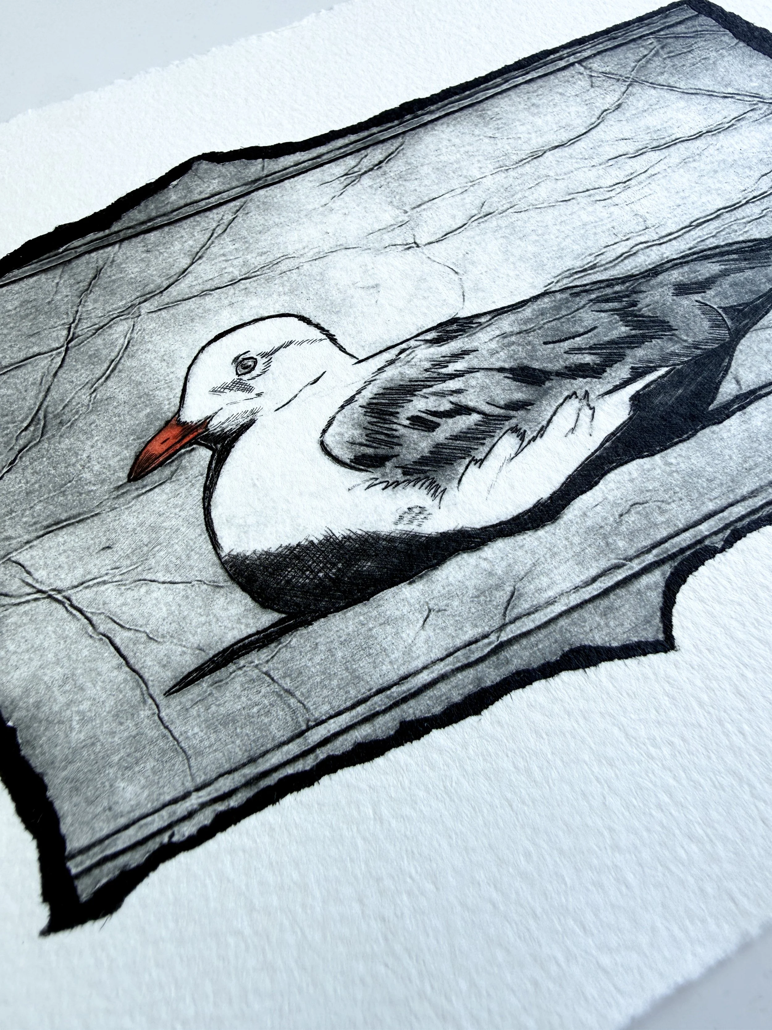 NeginMaddock_TetraPak_Printmaking_RestingSeagull_4.jpg