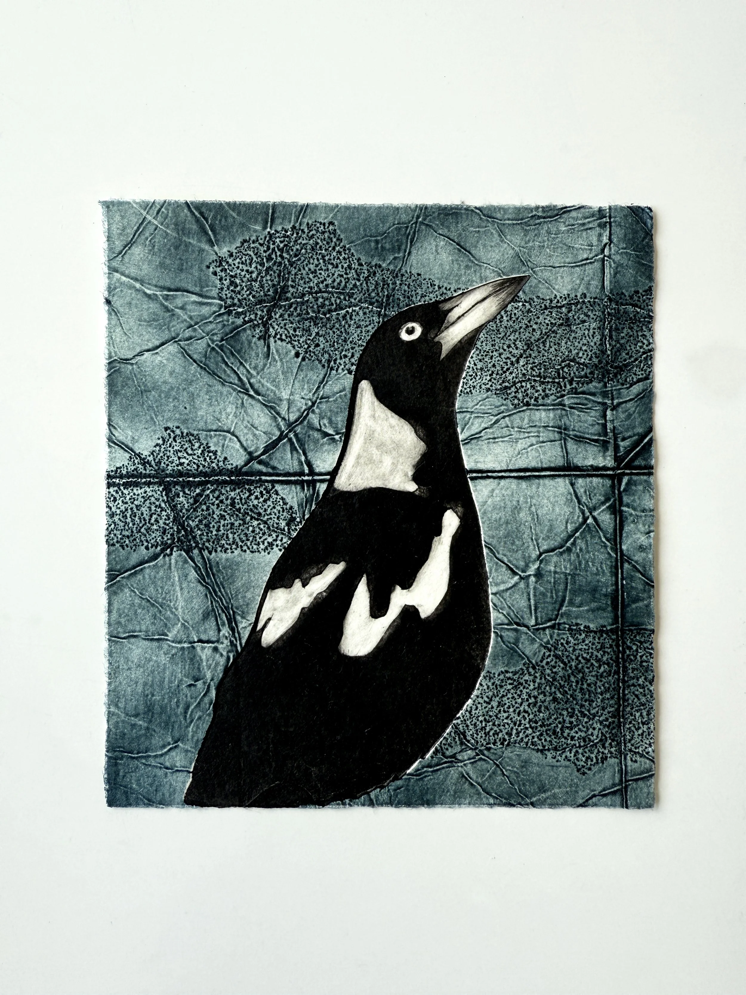 Magpie_TetraPak_3.jpg