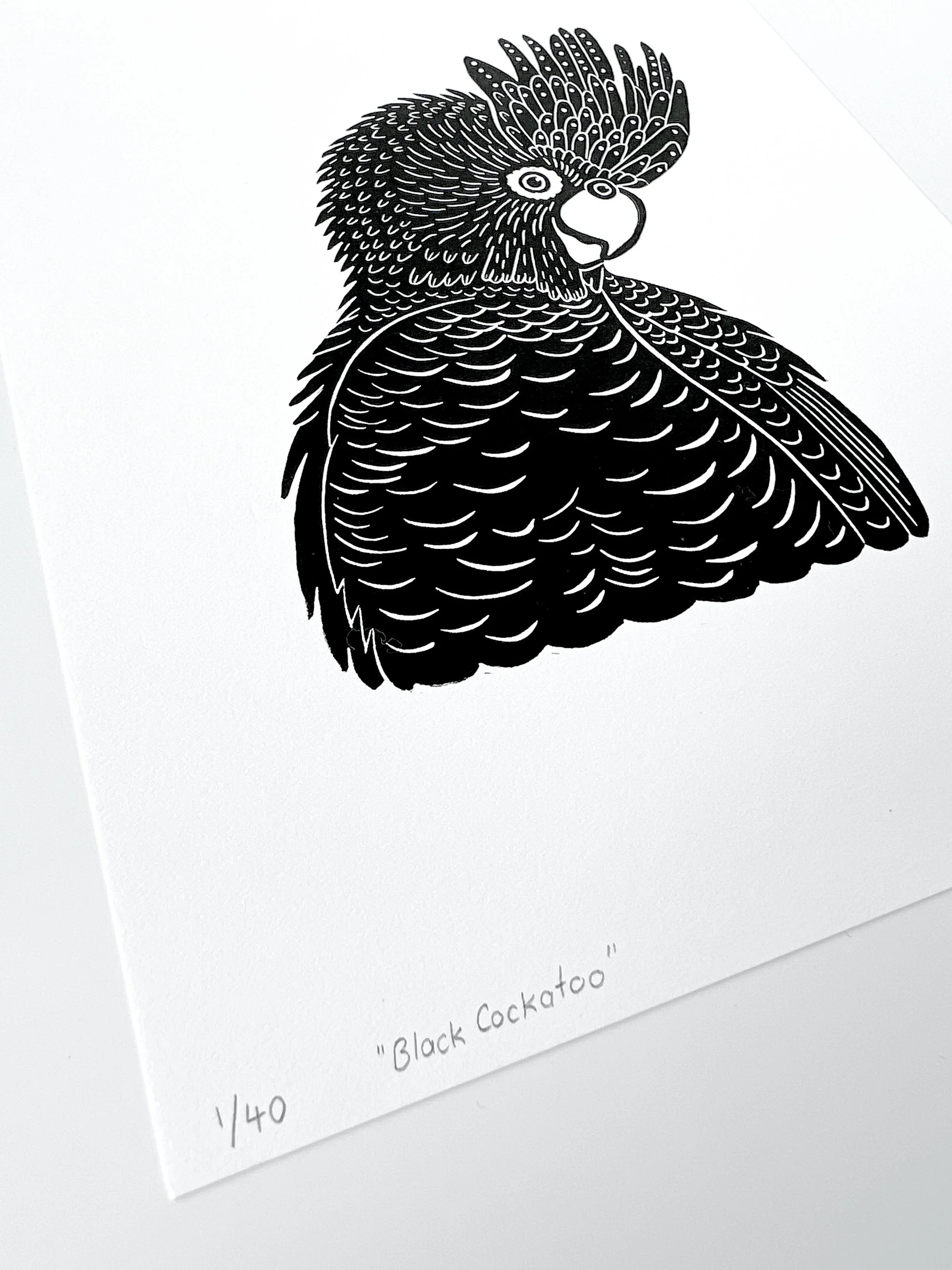 BlackCockatoo_9.jpg