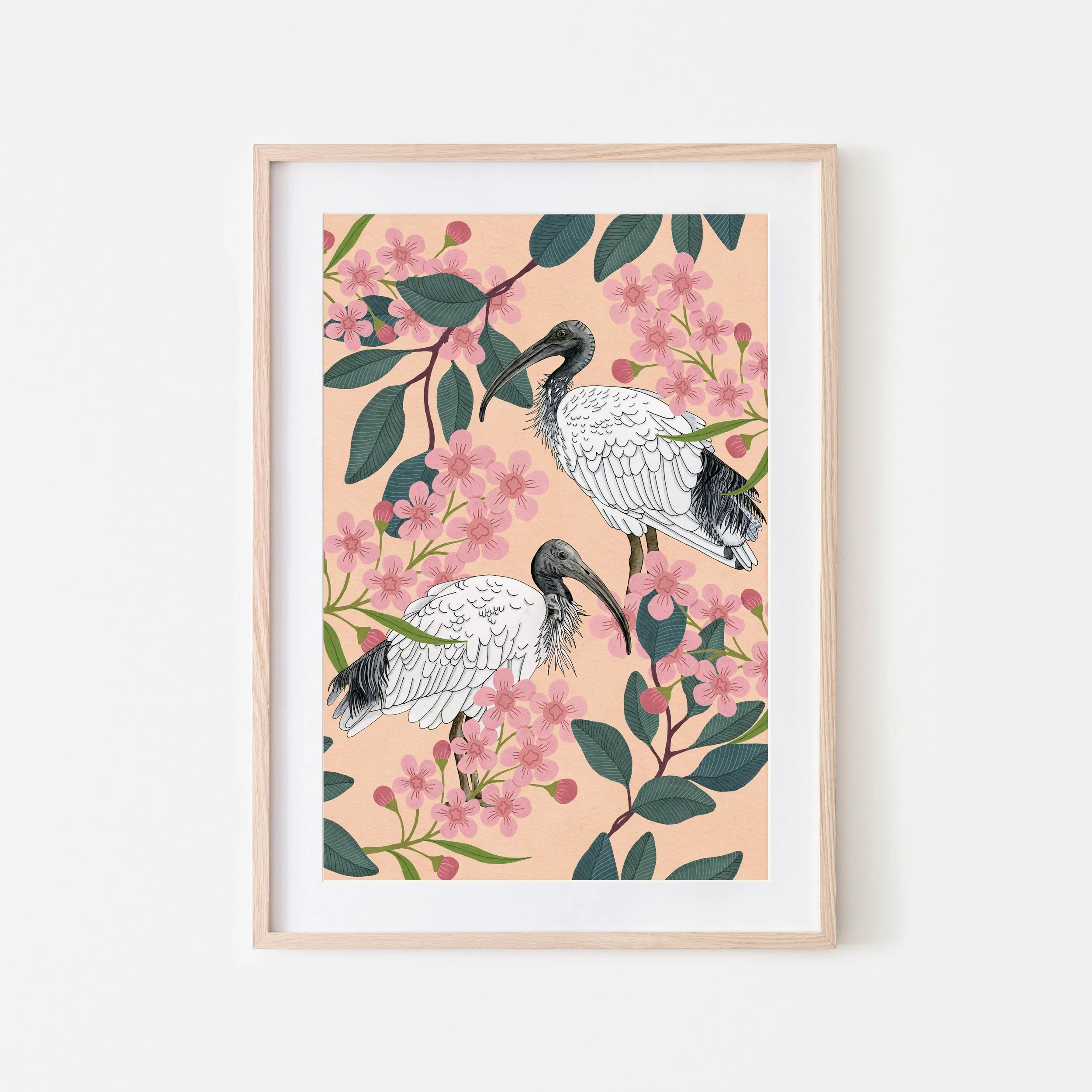 Art Print - AUSTRALIAN WHITE IBIS