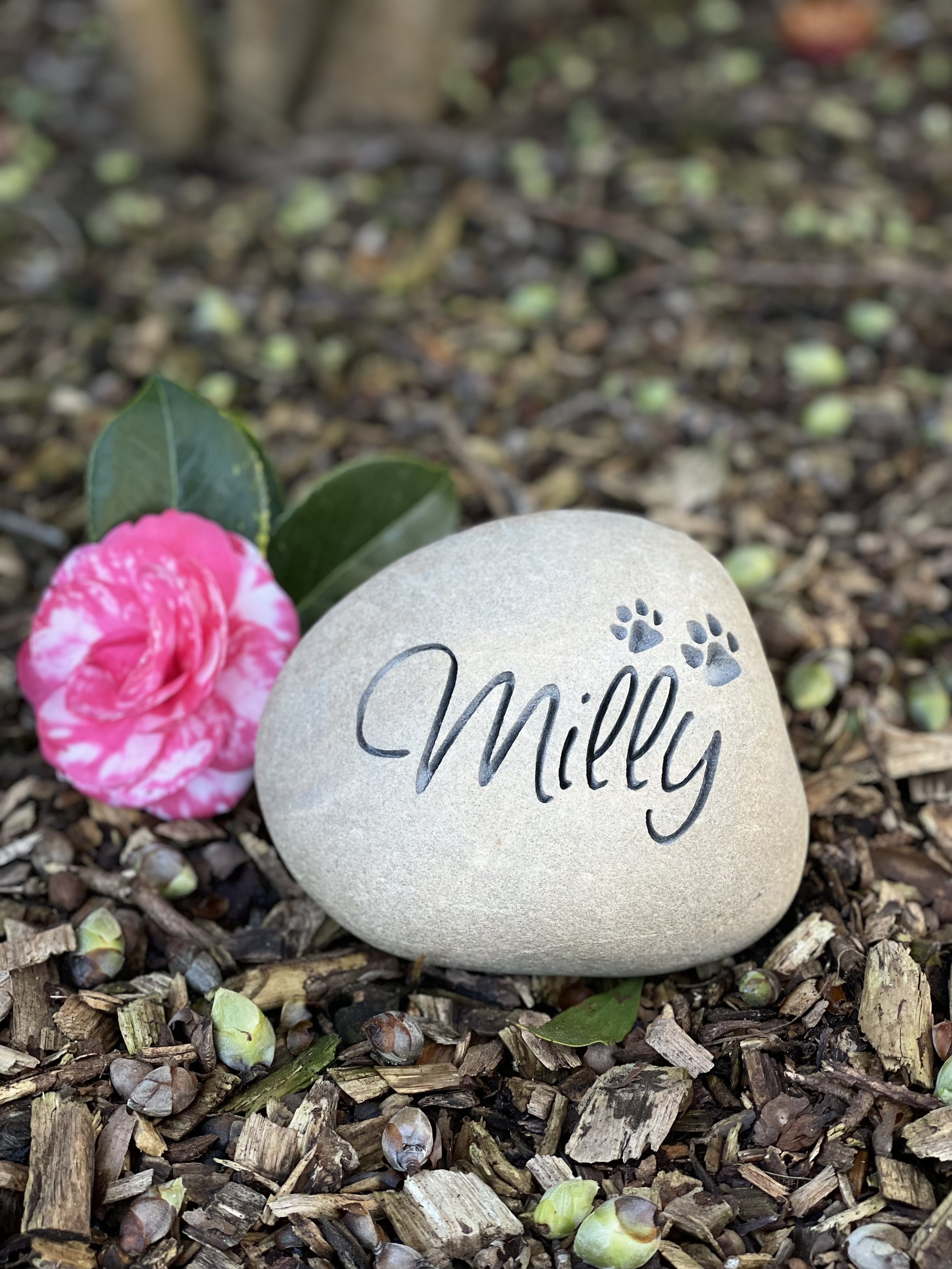 Engraved Stone Co_Engraved Rock Milly