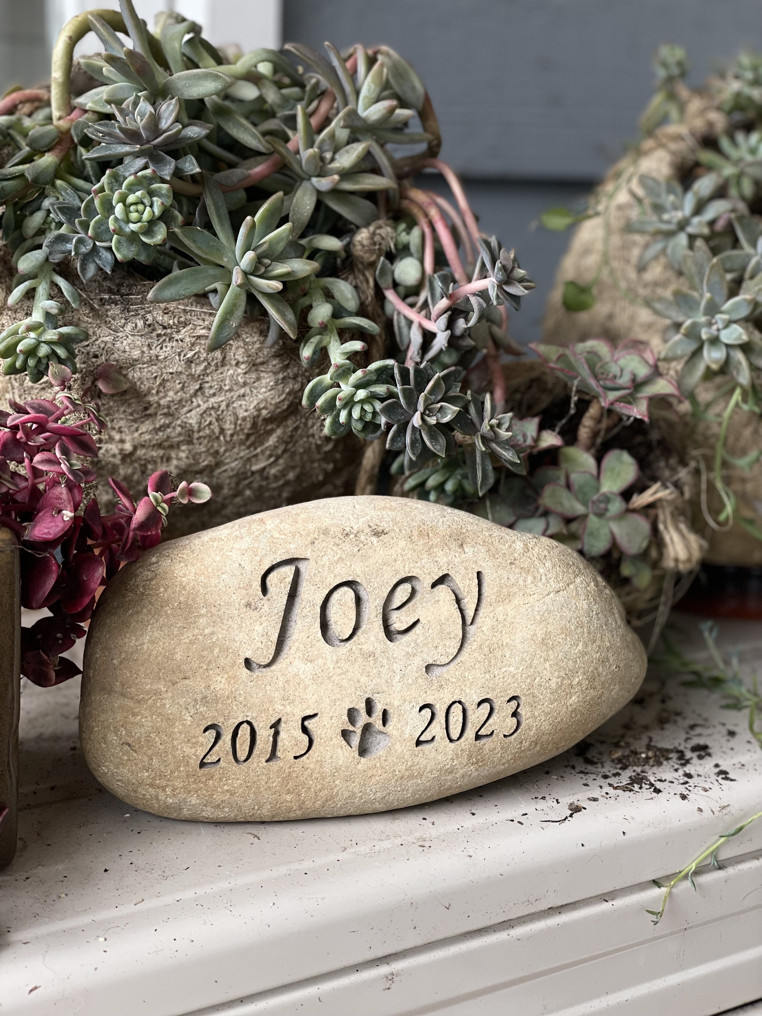Engraved Stone Co_Classic Pet Stone