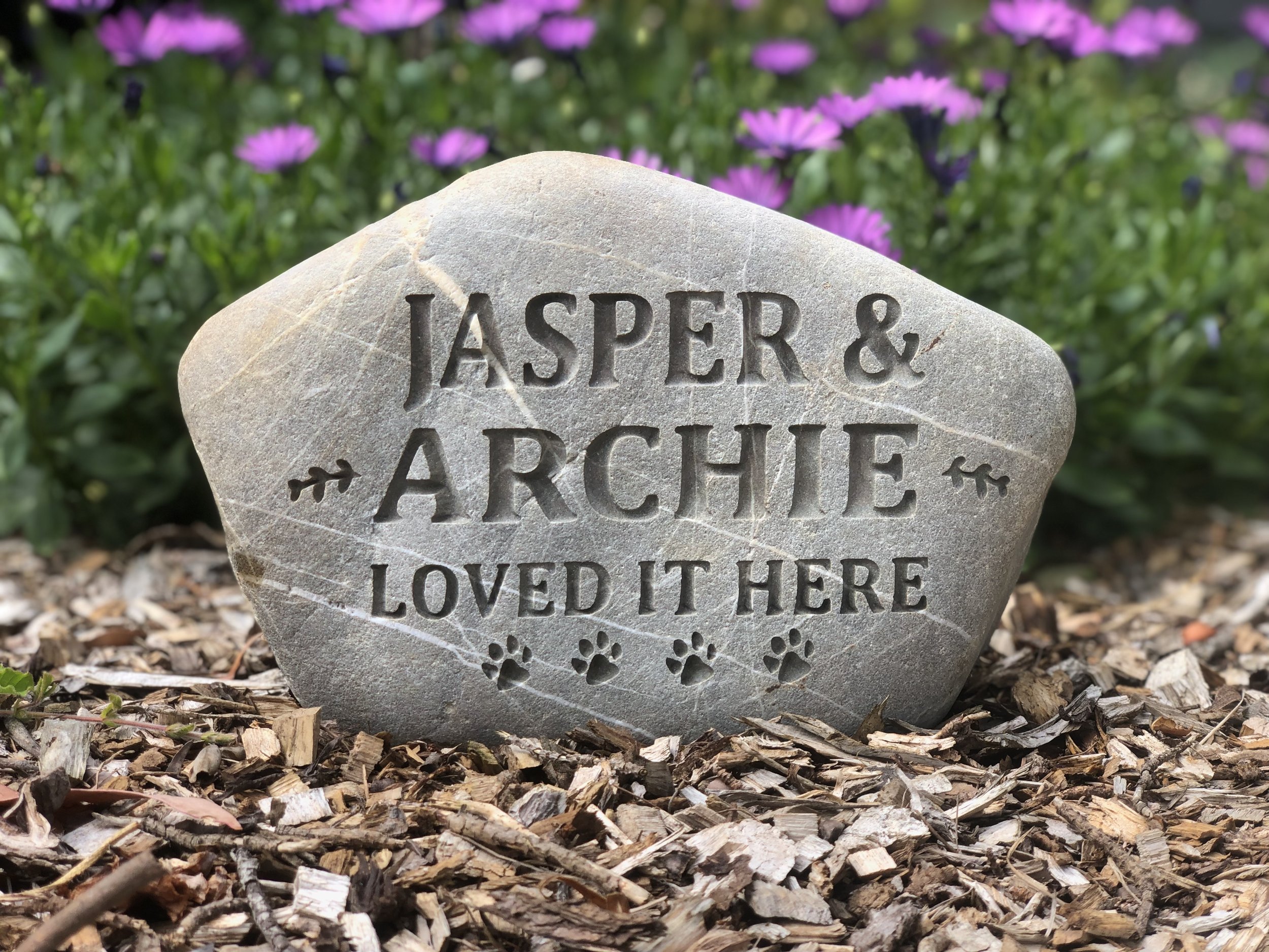 Engraved Stone Co_Pet Stone Large