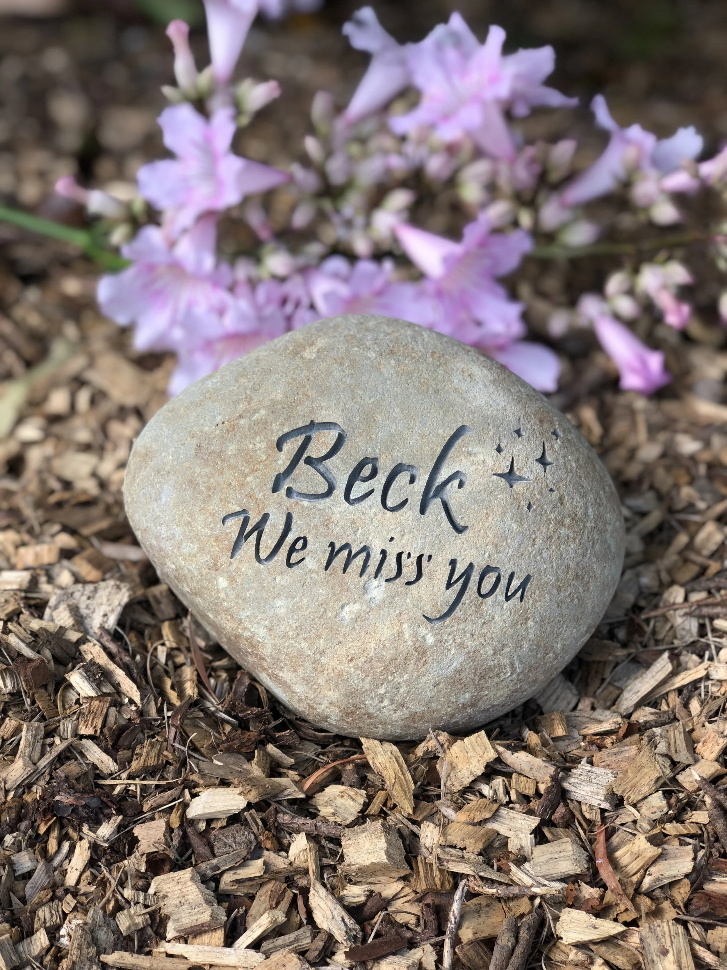 Beck_We Miss You.jpg