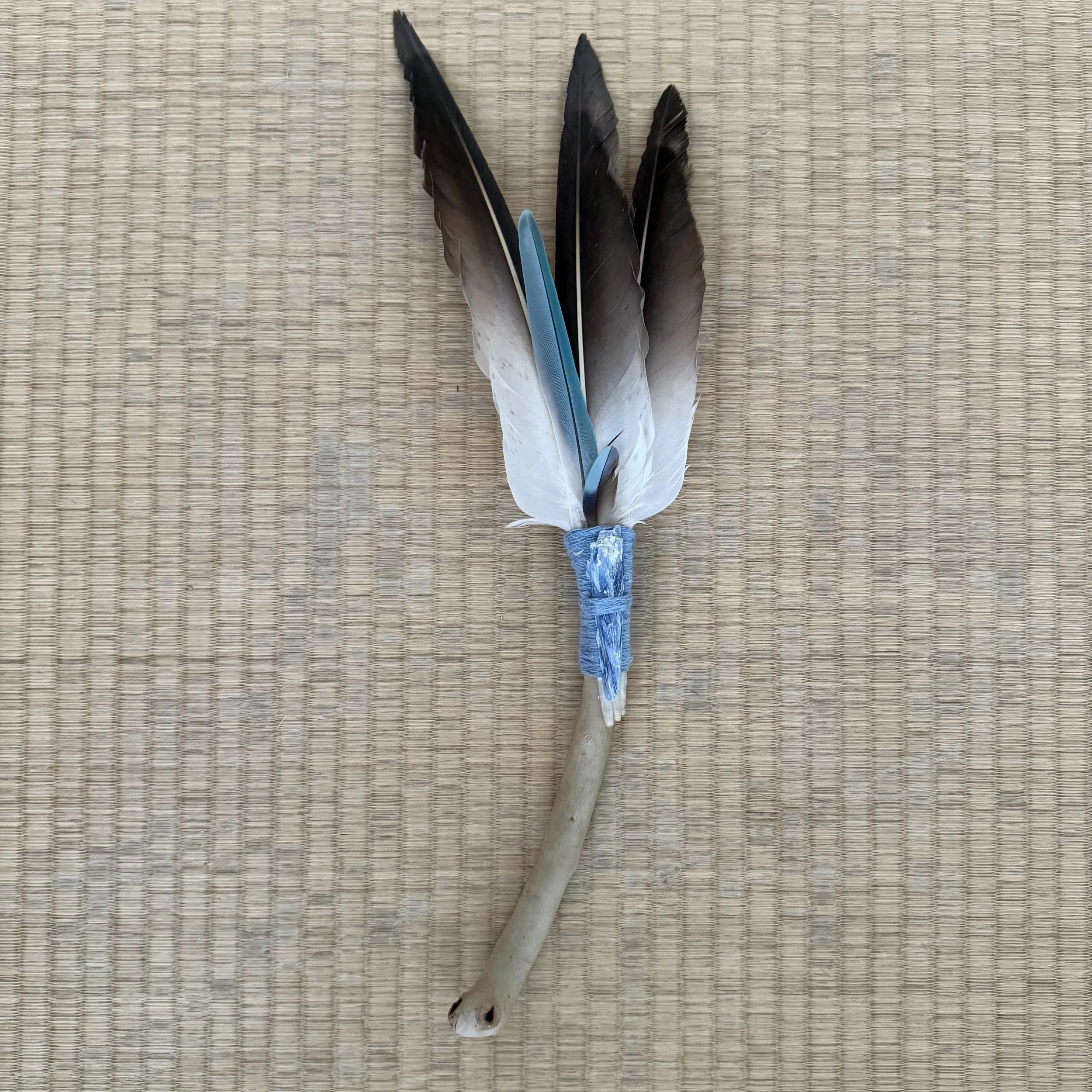 Pelican  and Kyanite Feather Smudge wand