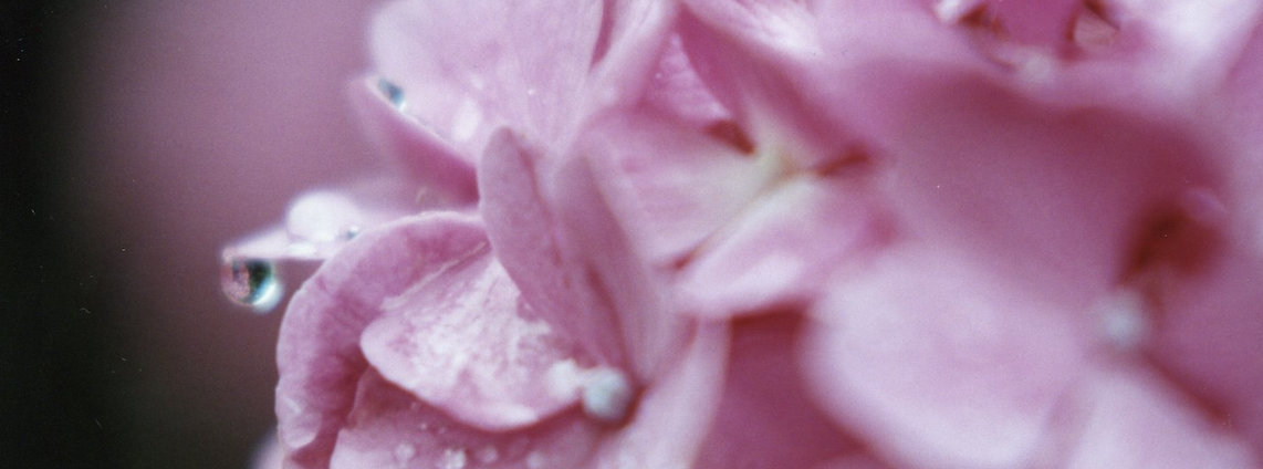 How are we to justify our ways of seeing nature, without resorting to @. Justice appears to be sleeping