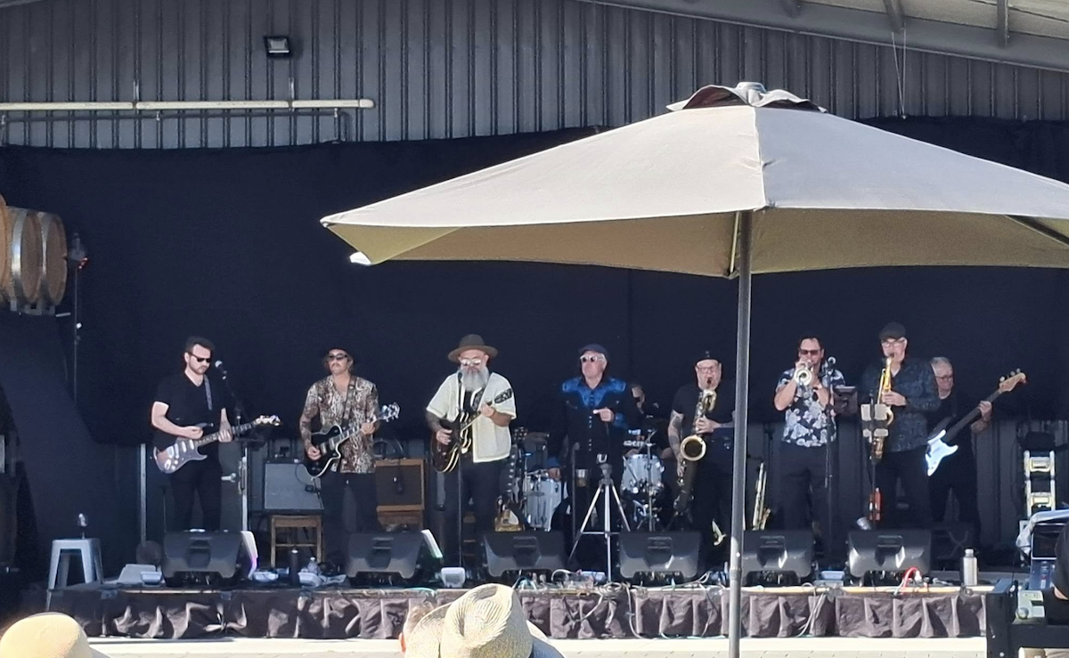 A live blues band performs on an outdoor stage with guitars and a horn section during a Blues in the Vines outdoor music festival concert.