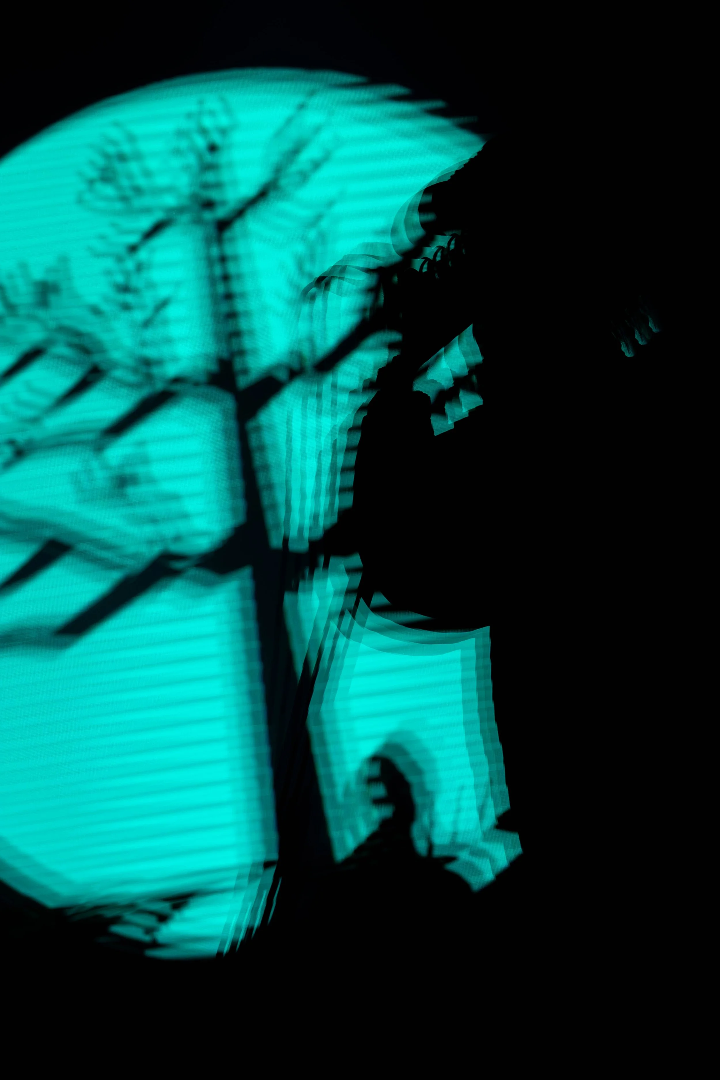 ENTERSHIKARI-14.jpg