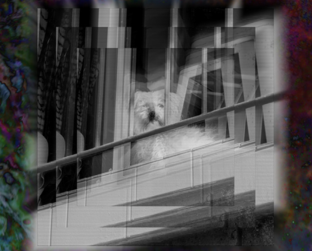 February 13 - Noteworthy New Releases