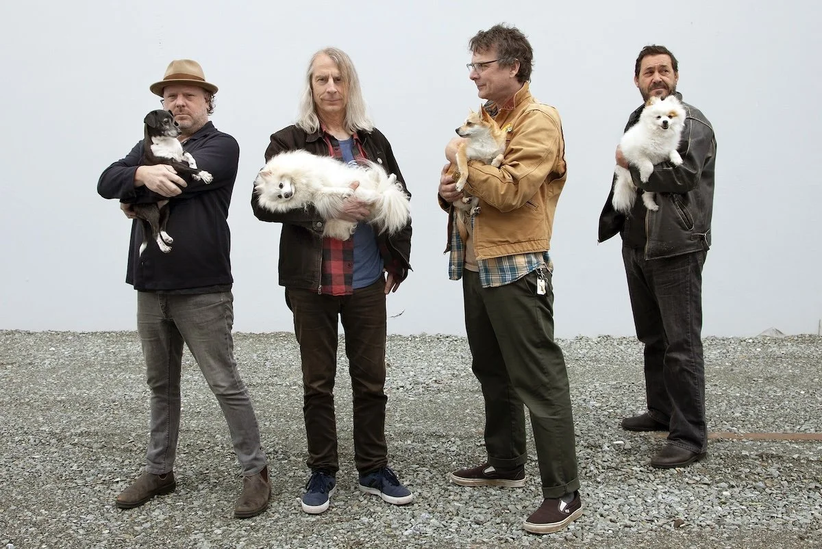 Seattle grunge rock band Mudhoney posing for a promotional photo on gravel against a white wall, with all four members holding small dogs.