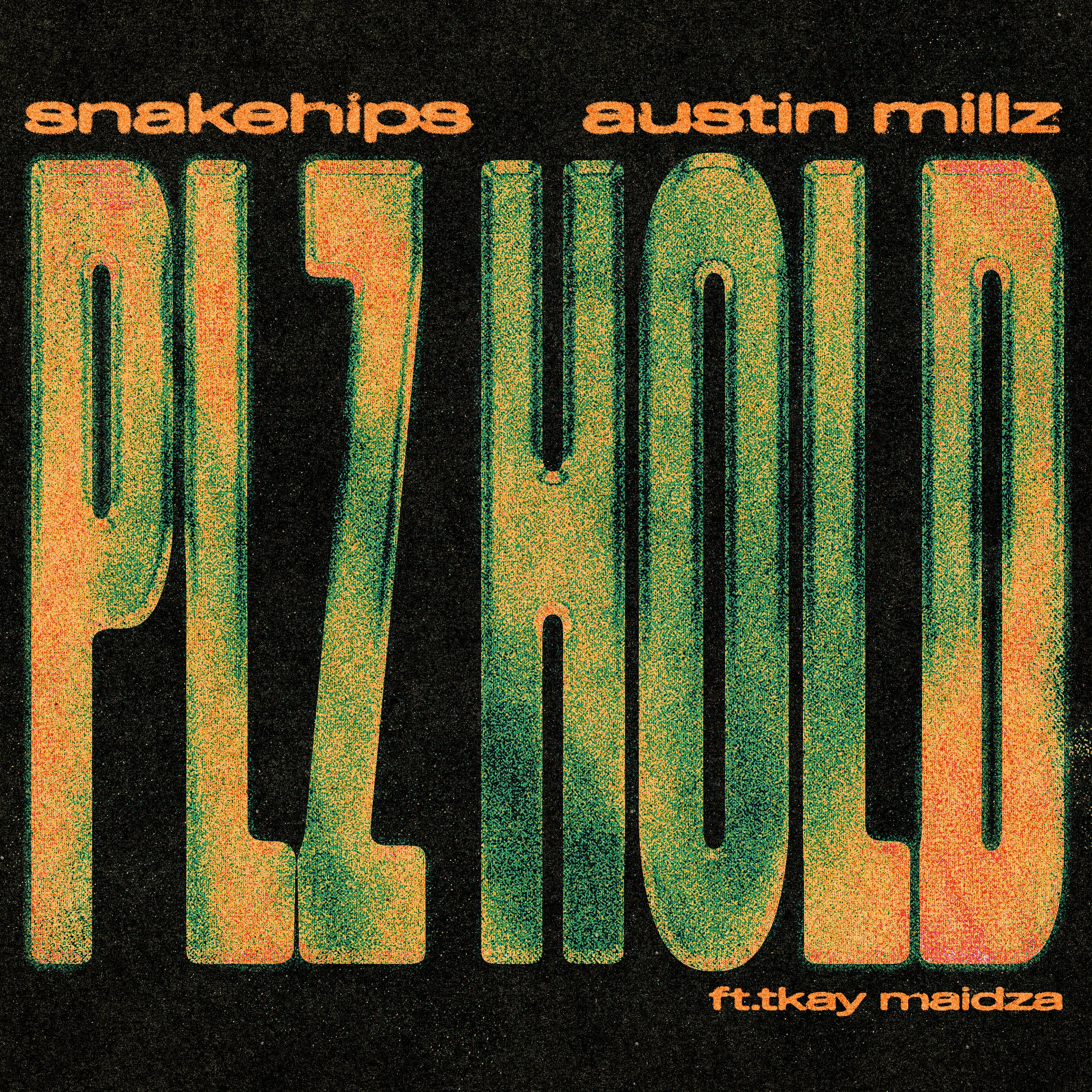 Snakehips and Austin Millz single "PLZ HOLD" cover art featuring large, stylized green and orange typography on a textured black background.