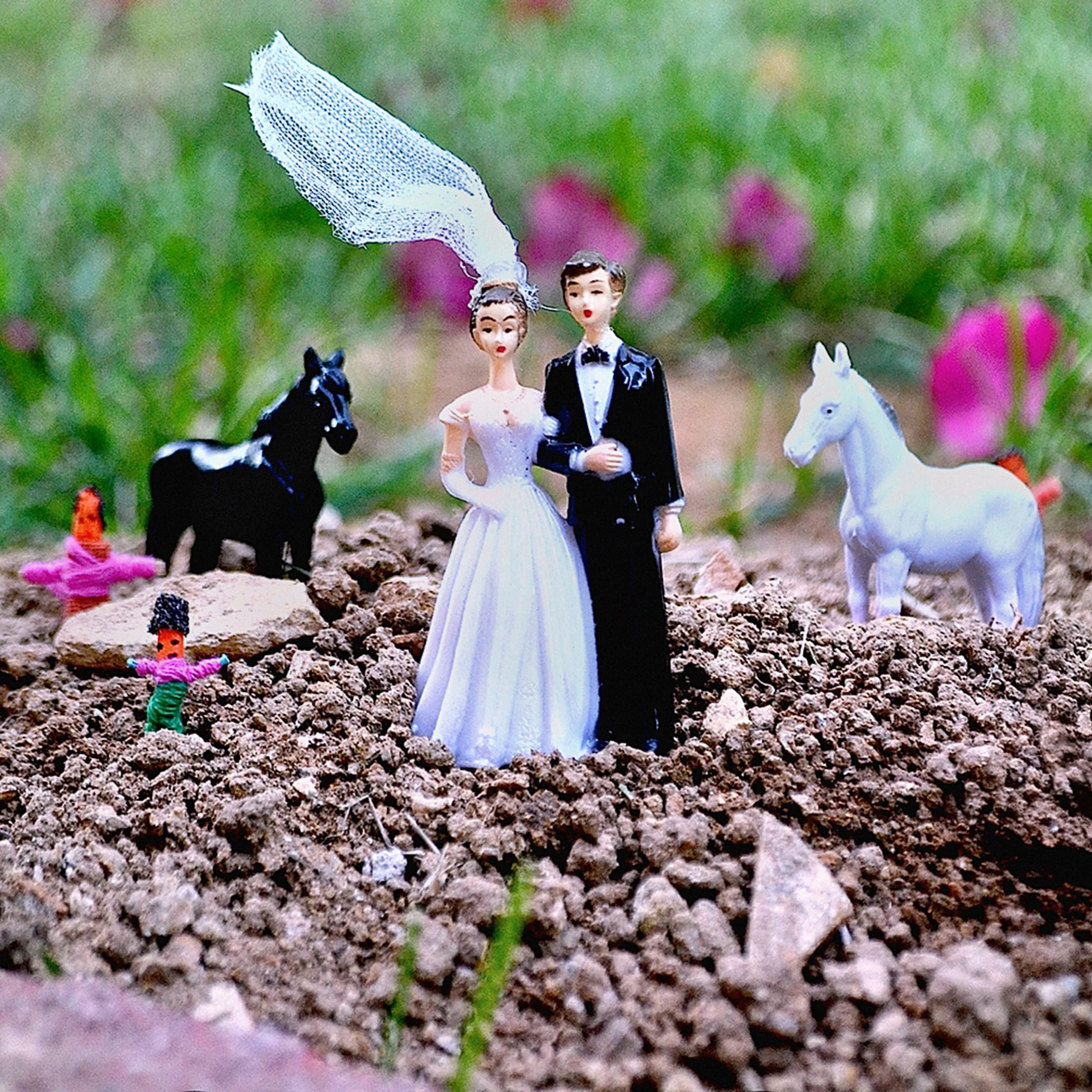 Album cover for Grace Woodroofe’s Rotate on the Ache (Part 1) featuring a bride and groom topper on soil with toy horses and figures.