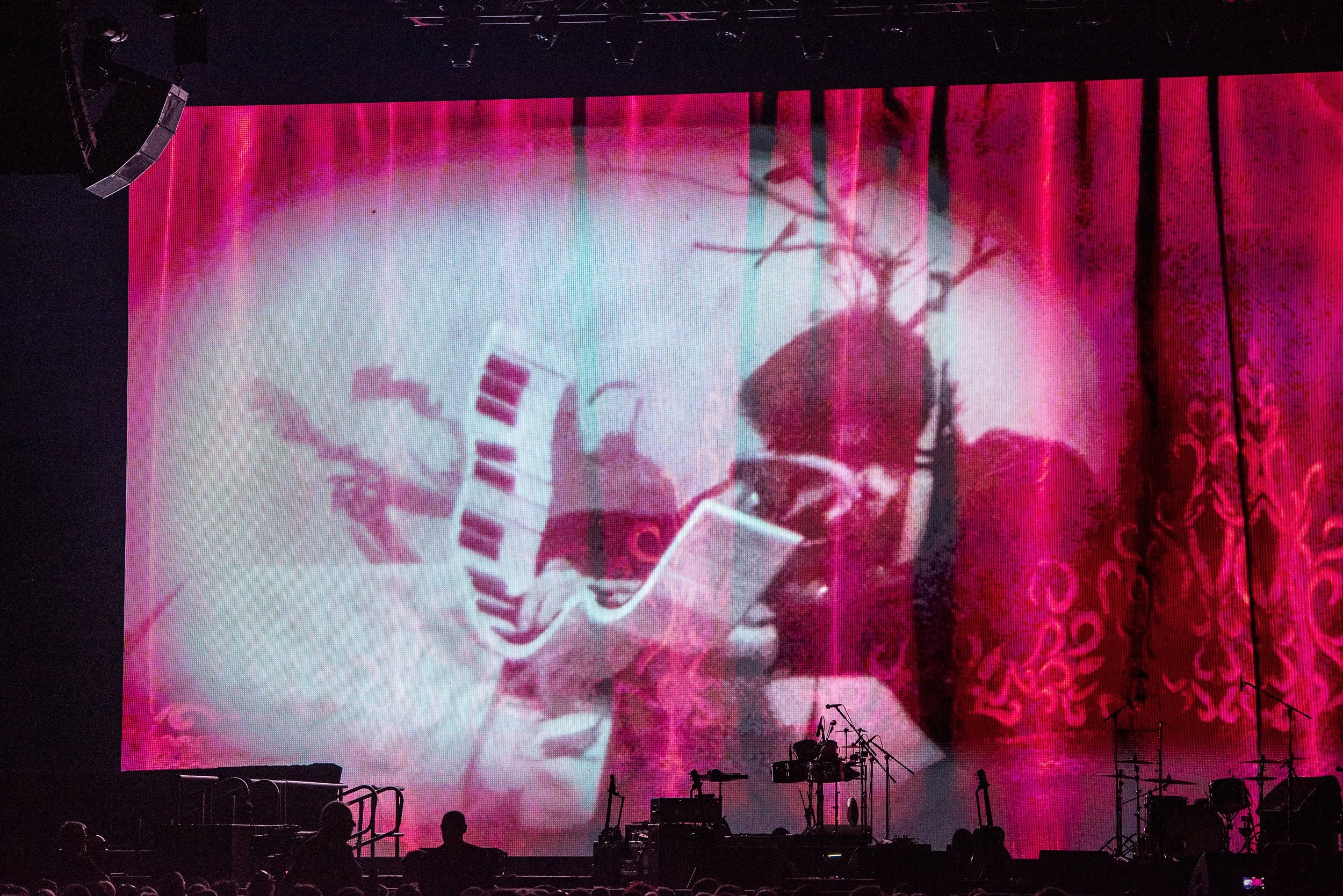 Split Enz3675.jpg
