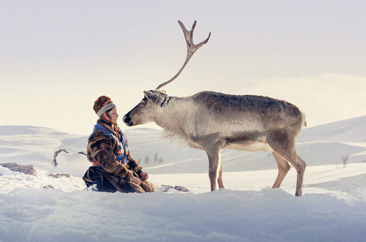 2026 Hurtigruten Nordic Film Festival Full Program Announced