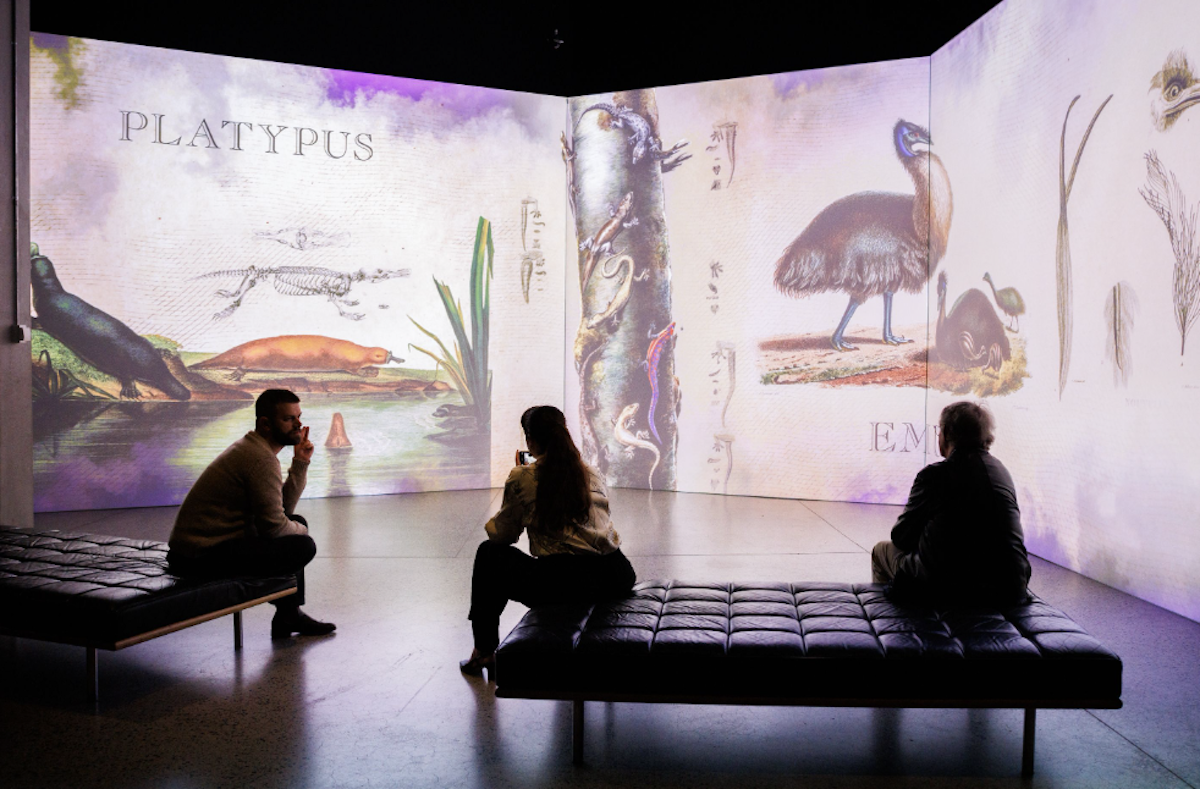 Empress Joséphine’s Garden Coming To ILA This April