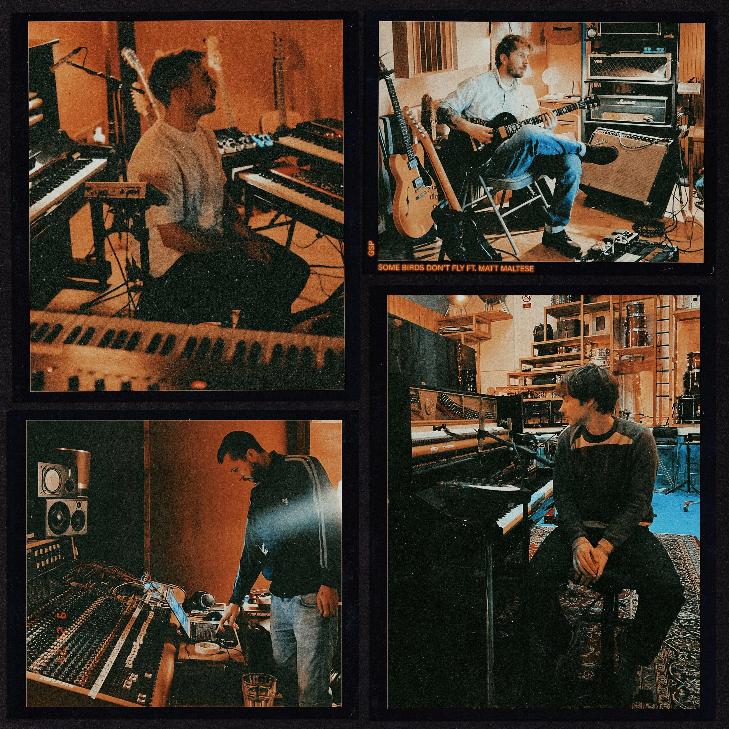 Gotts Street Park Some Birds Don't Fly single artwork featuring a collage of four warm, vintage-style photos of musicians in a recording studio.
