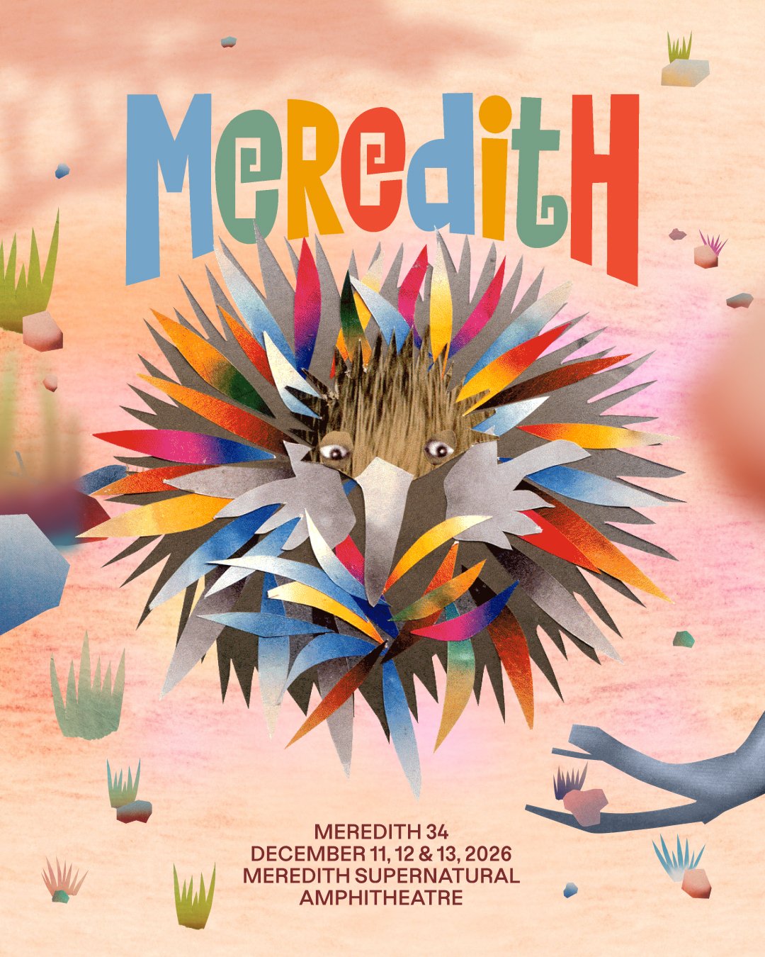 Meredith Music Festival 2026 poster featuring a colorful echidna illustration, listing Meredith 34 dates for December 11, 12, and 13.