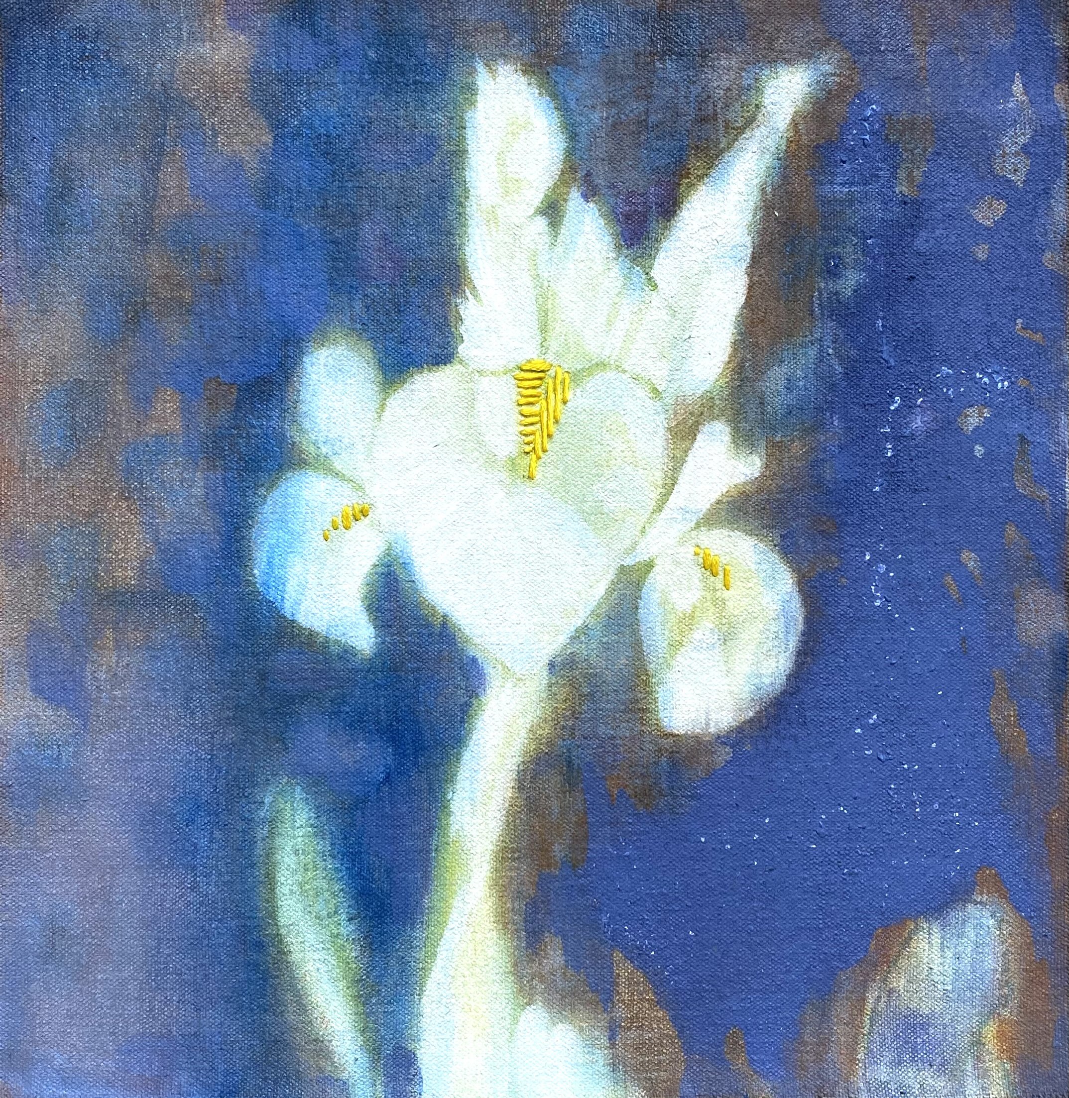 ScruffyGarden.5