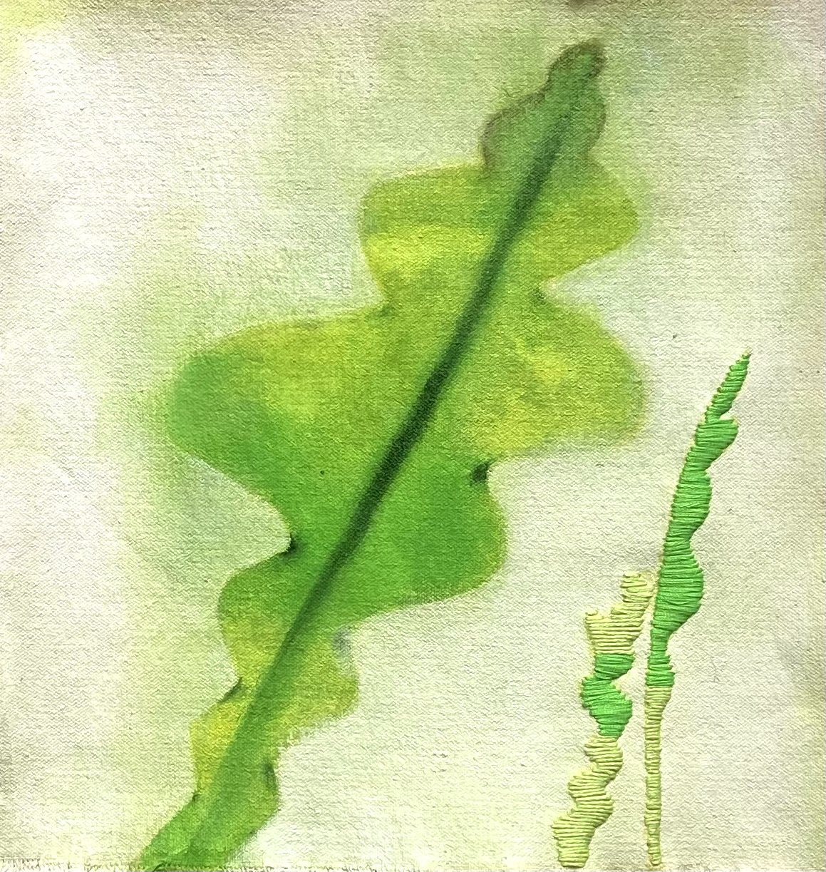 ScruffyGarden.7