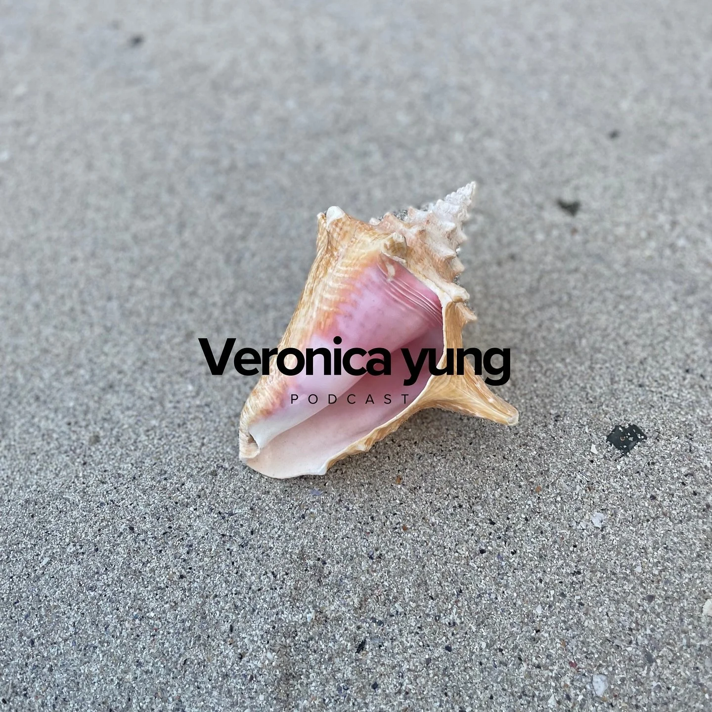 Sesong 1 🐚
Link i Bio.