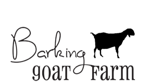 BGF+LOGO.png