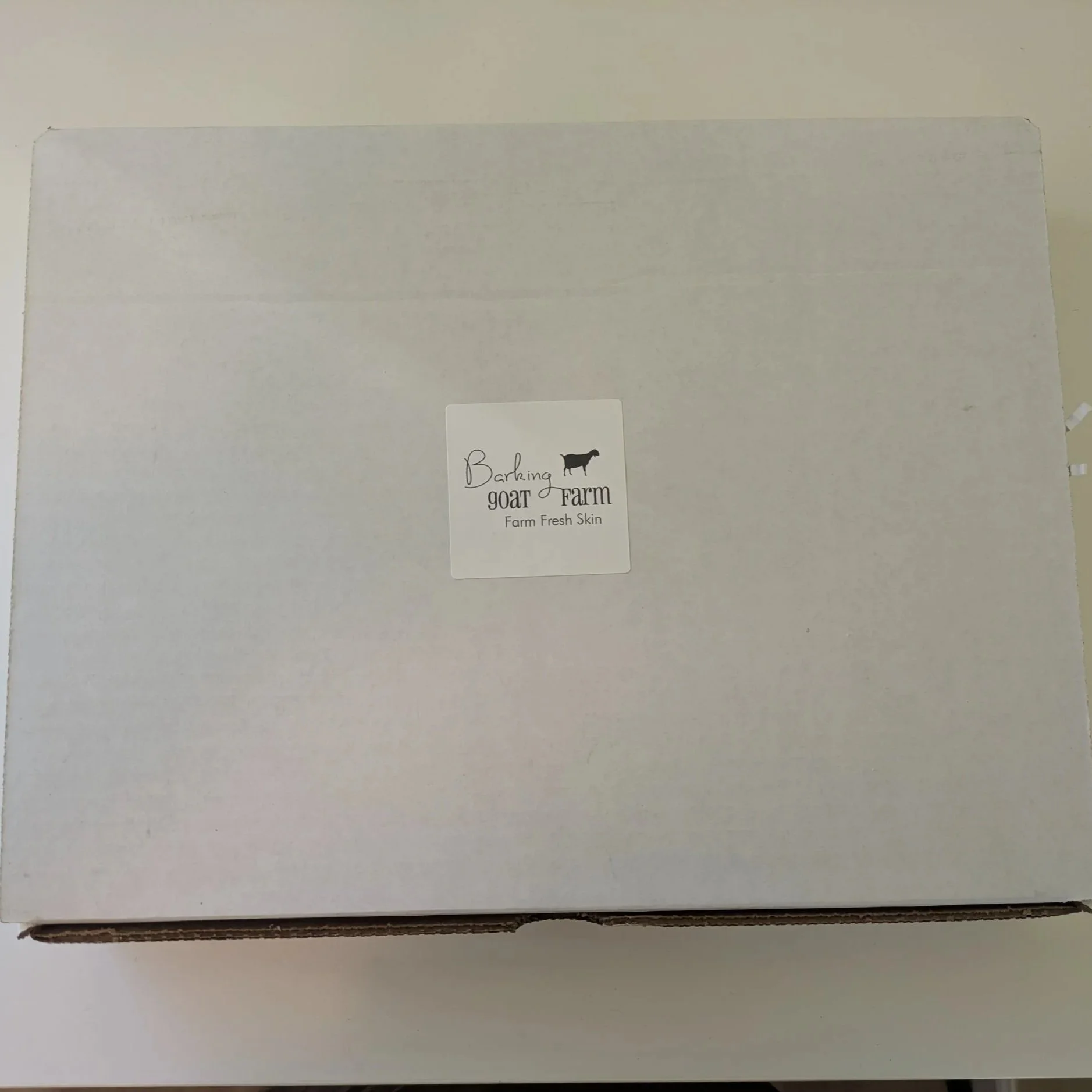 PXL_20260227_163007523.jpg (Copy)