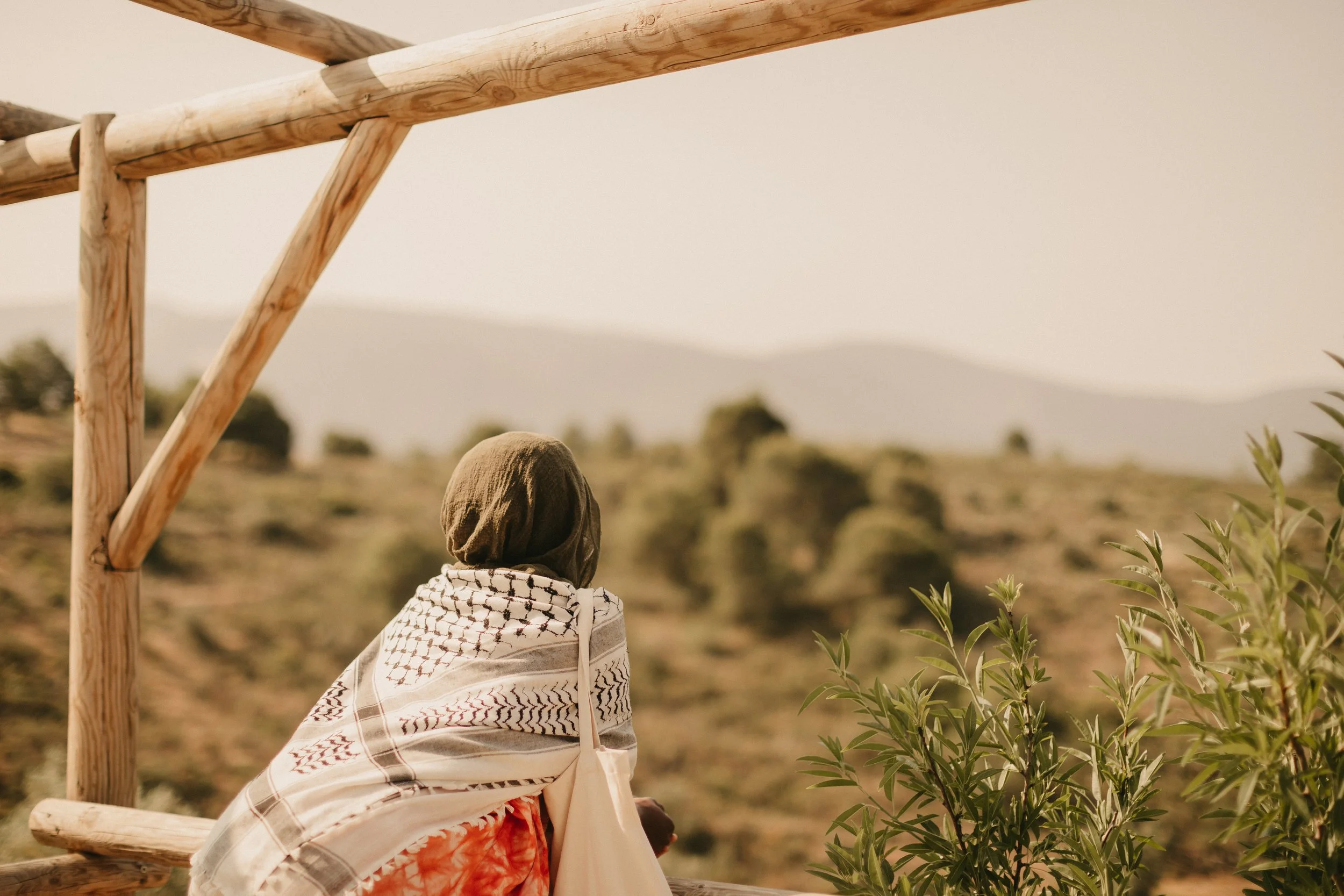 womb 101 womb custodian training