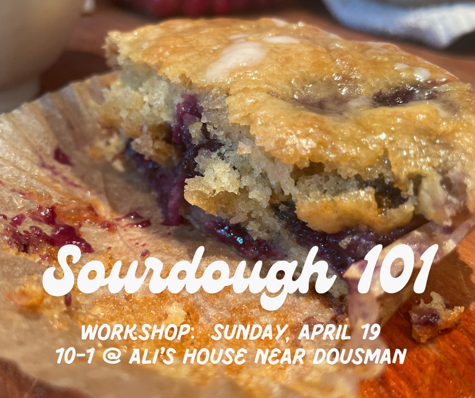 Sourdough 101