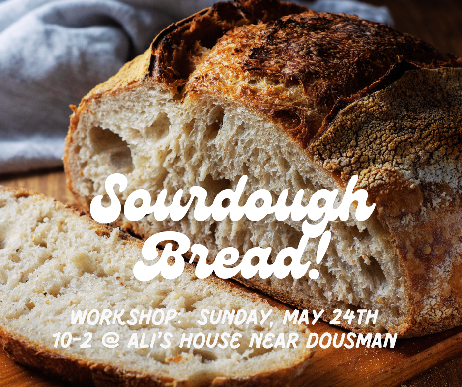 Sourdough Bread-Making Workshop