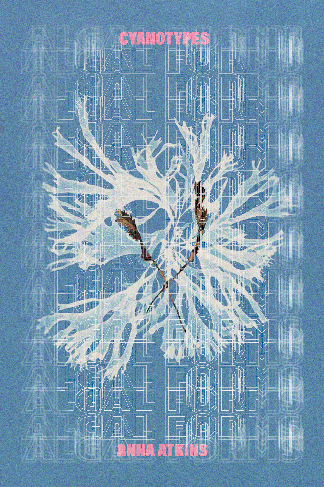 Screenshot 2023-12-07 at 02.29.17.png