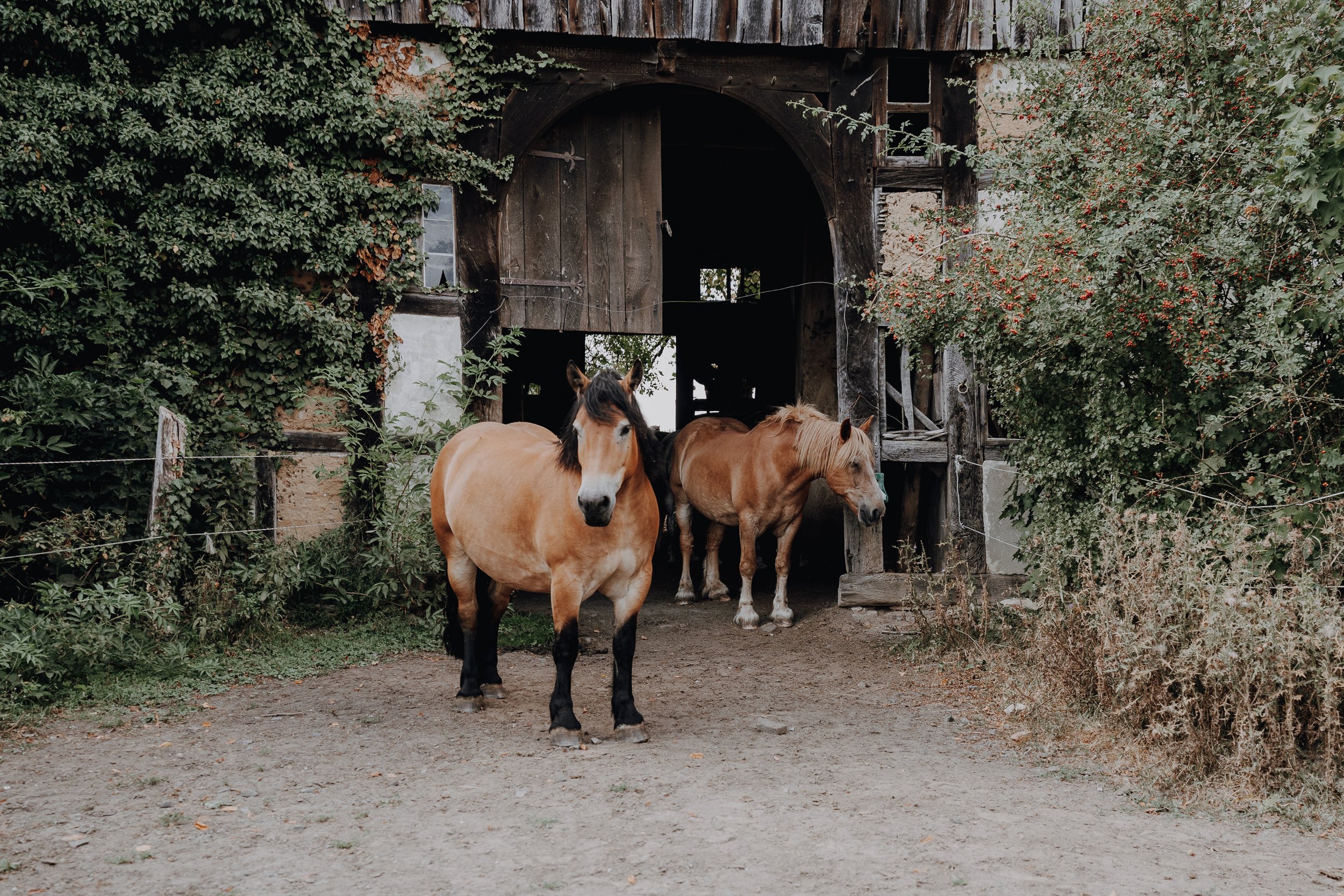 Hamburg Verlobung Hochzeitsfotograf Hannover Berlin Kiel München Lemgo Detmold-14.jpg