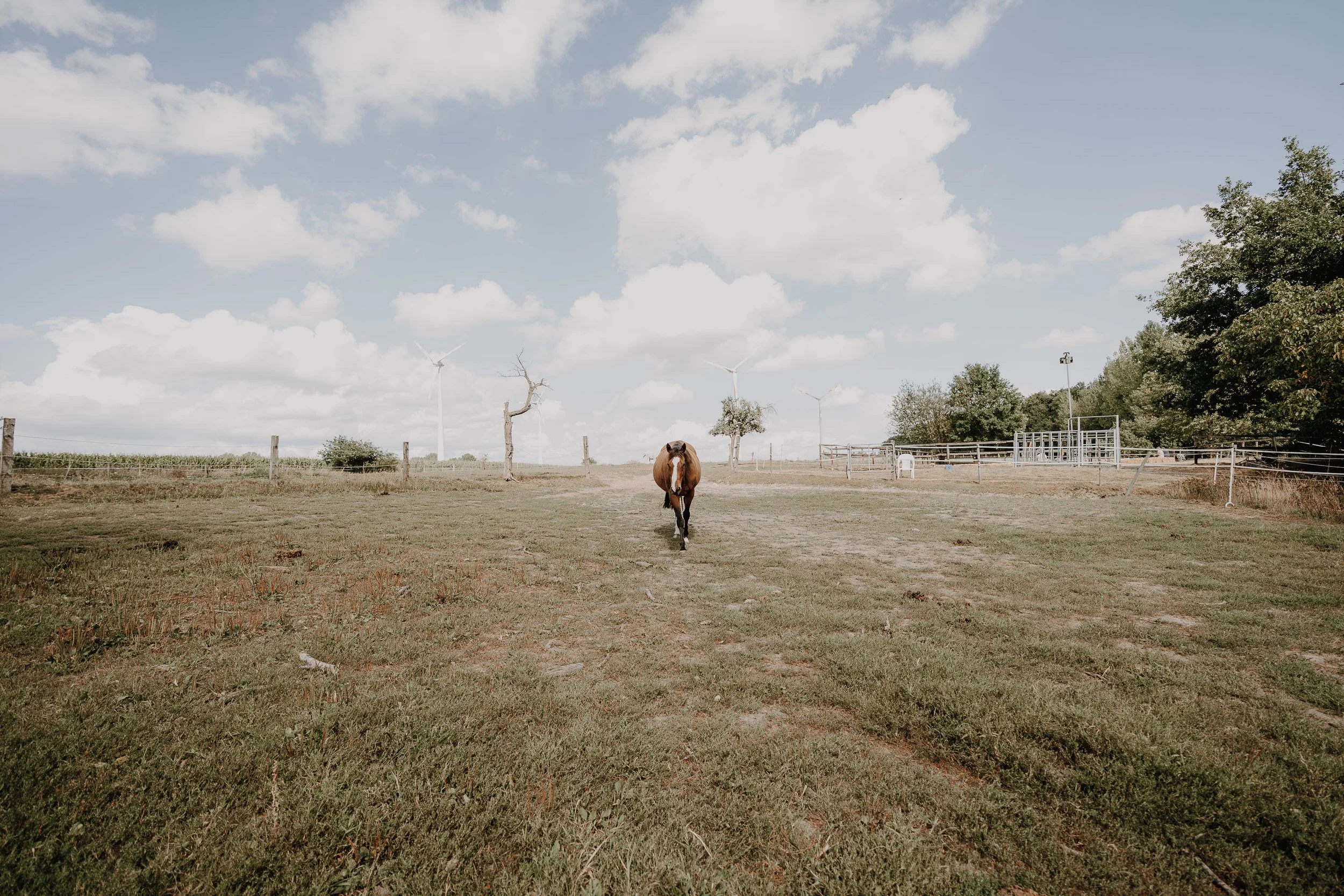 Hamburg Verlobung Hochzeitsfotograf Hannover Berlin Kiel München Lemgo Detmold-18.jpg