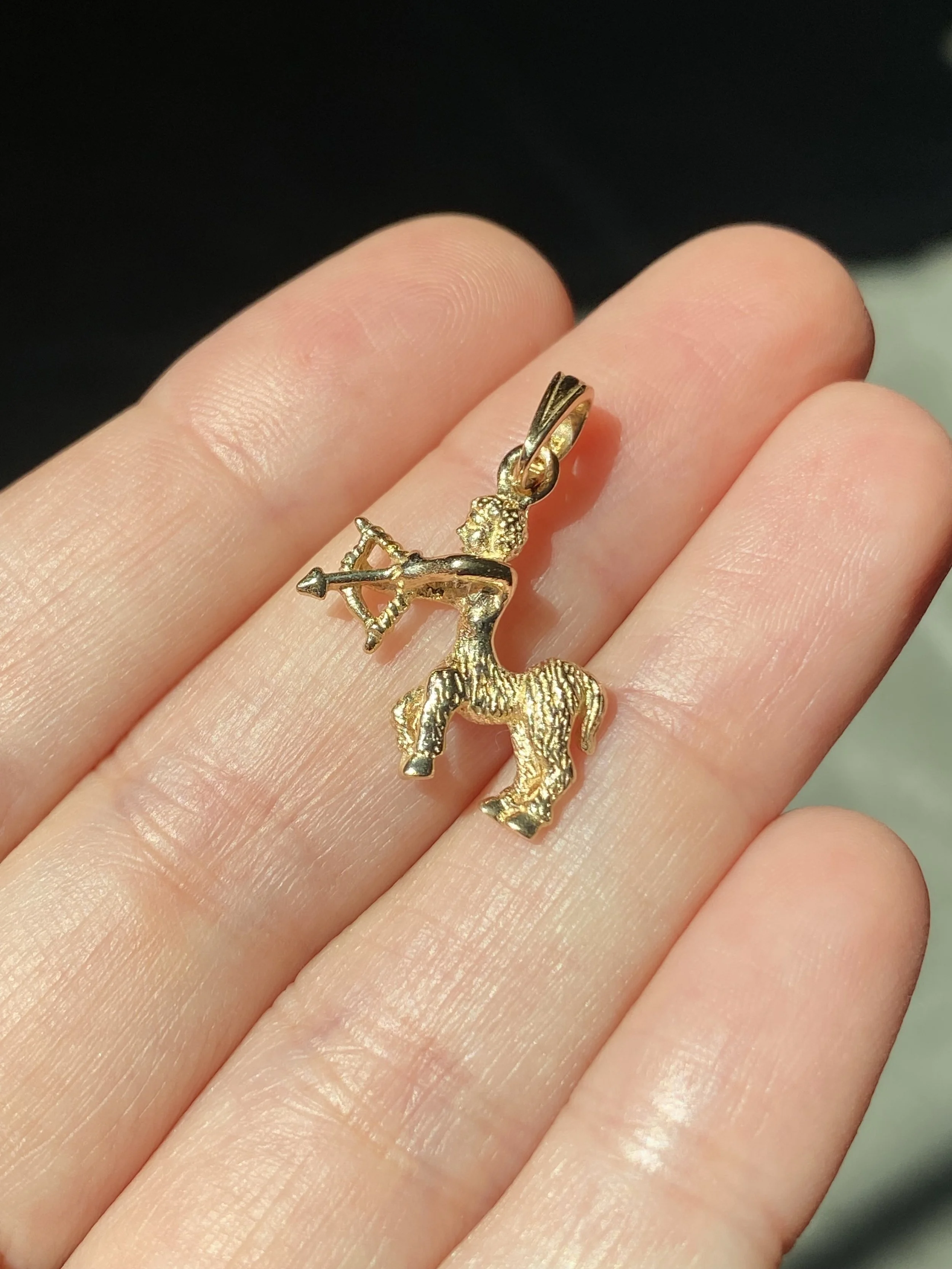 SUMMER SALE - Sagittarius Charm