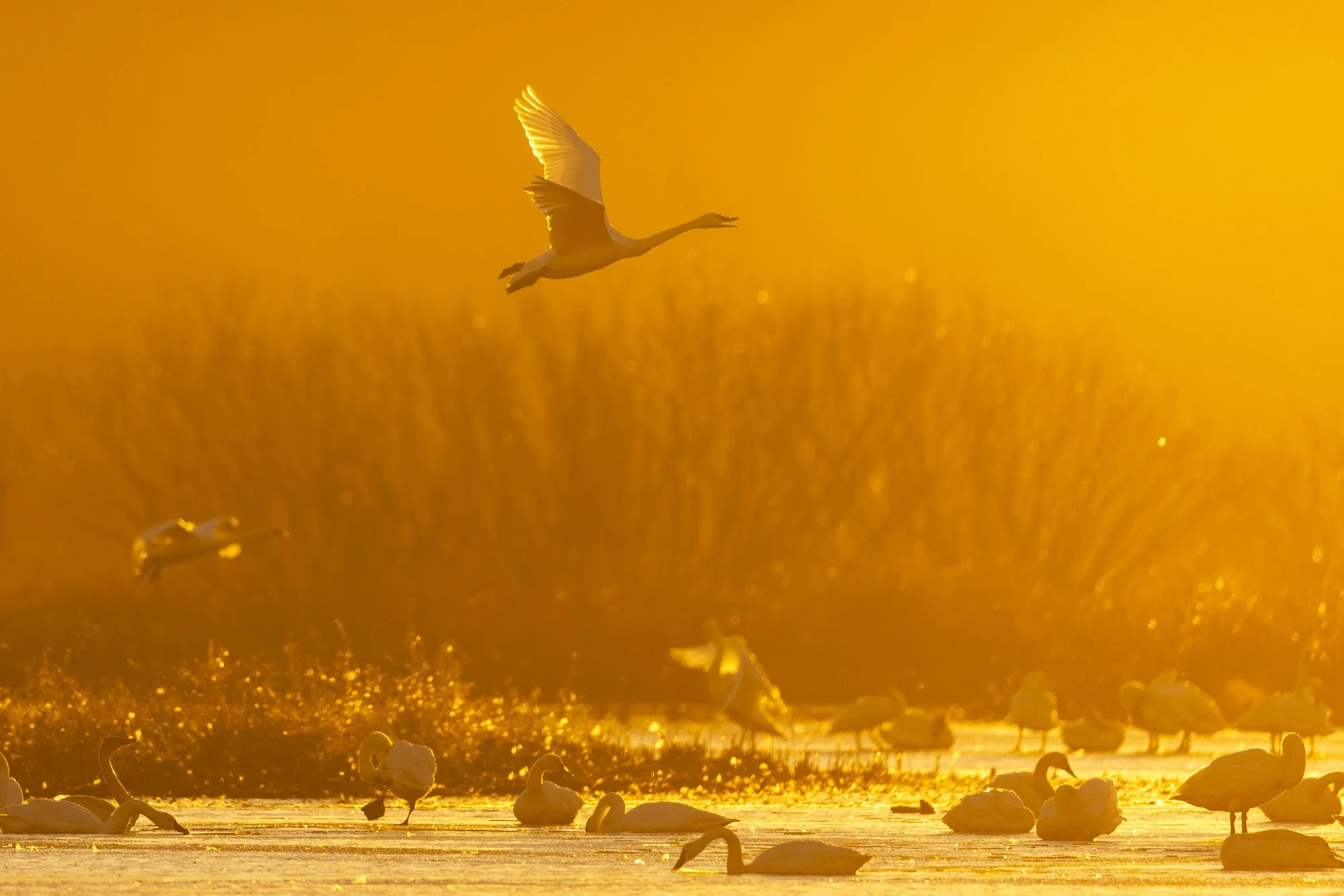 You Don’t Need Better Light—You Need Better Vision