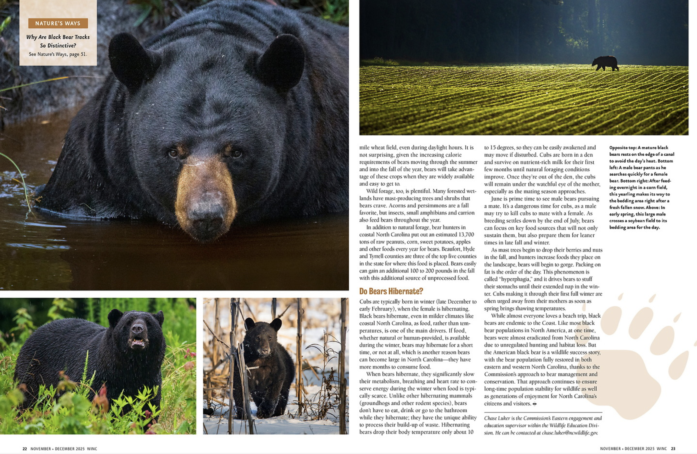 A black bear paddling in a river, with only its head and part of its back visible above the water.