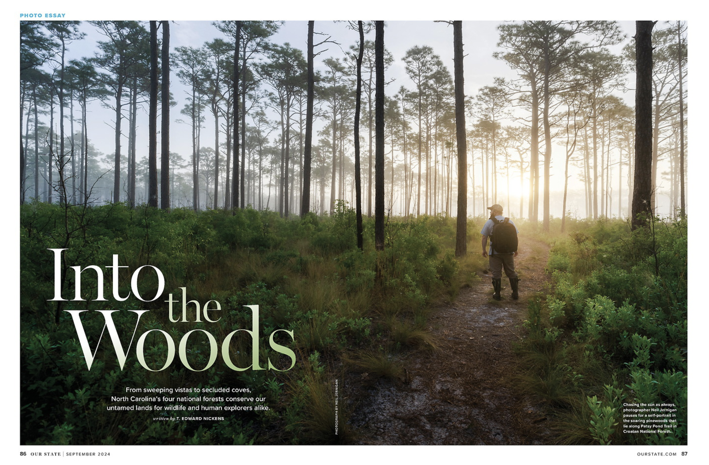 Neil Jernigan hiking in a sunlit forest during sunrise or sunset, with tall trees and green underbrush.
