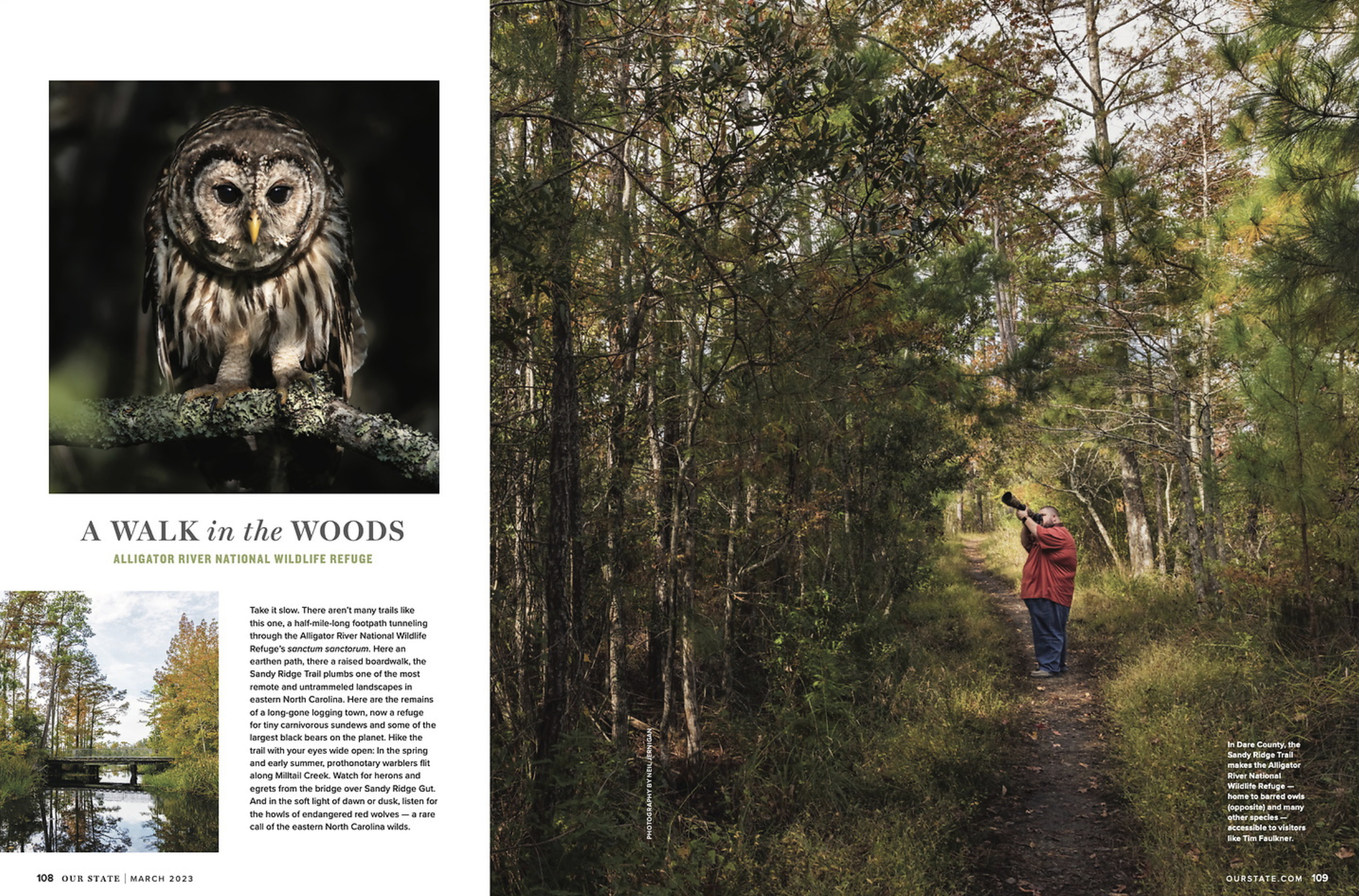 A person in a red jacket taking a photograph of a wooded trail with green and brown foliage.