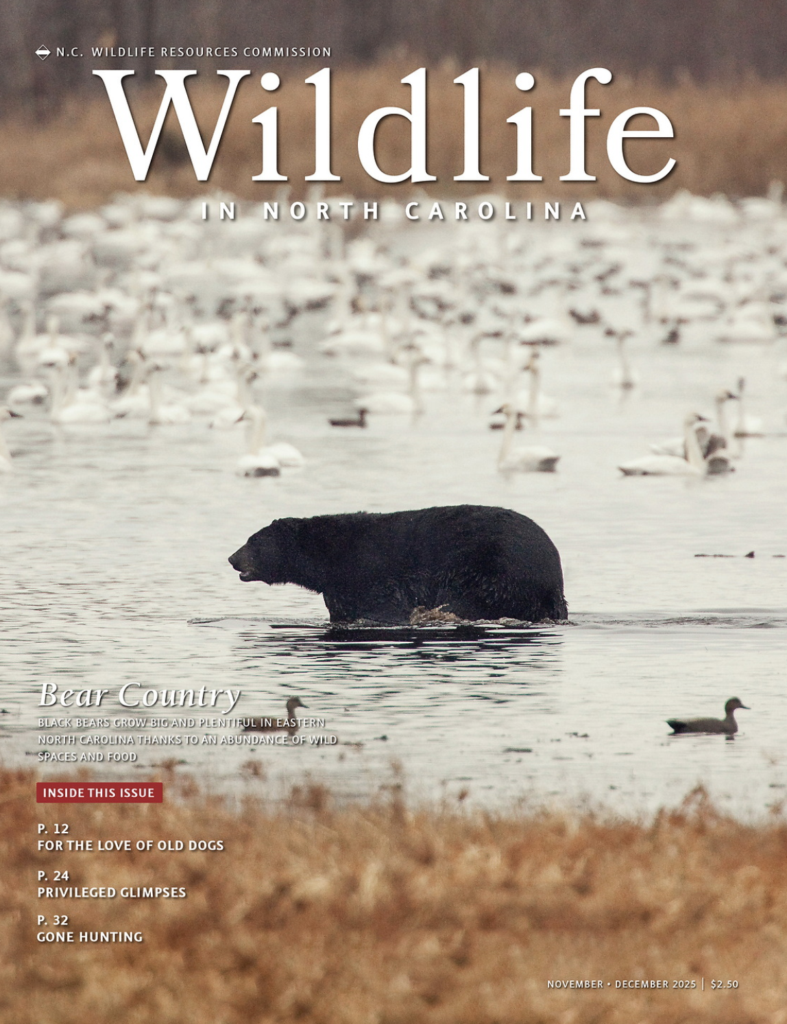 Cover of North Carolina Wildlife magazine featuring a black bear in a lake with swans and ducks in the background, and grass in the foreground.