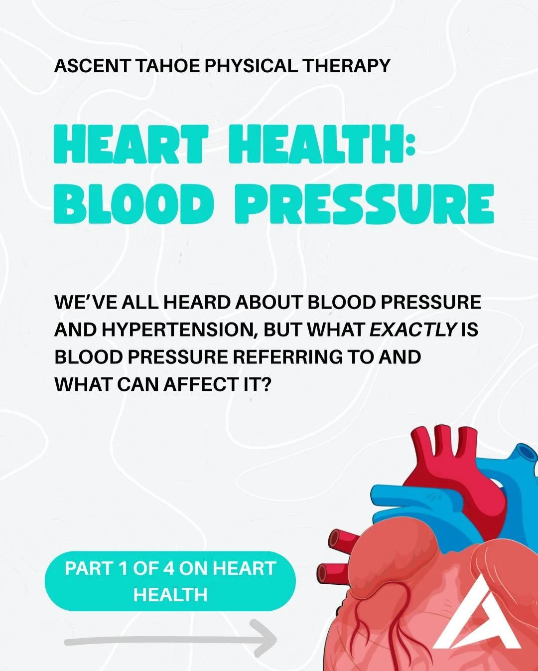🫀HEART HEALTH!🫀

On Wednesdays this month, we will highlight aspects of heart/cardiovascular health!

Today we&rsquo;re chatting about blood pressure. We&rsquo;ve all heard of it, but do you actually know what it is? BP is a measure of the force ex
