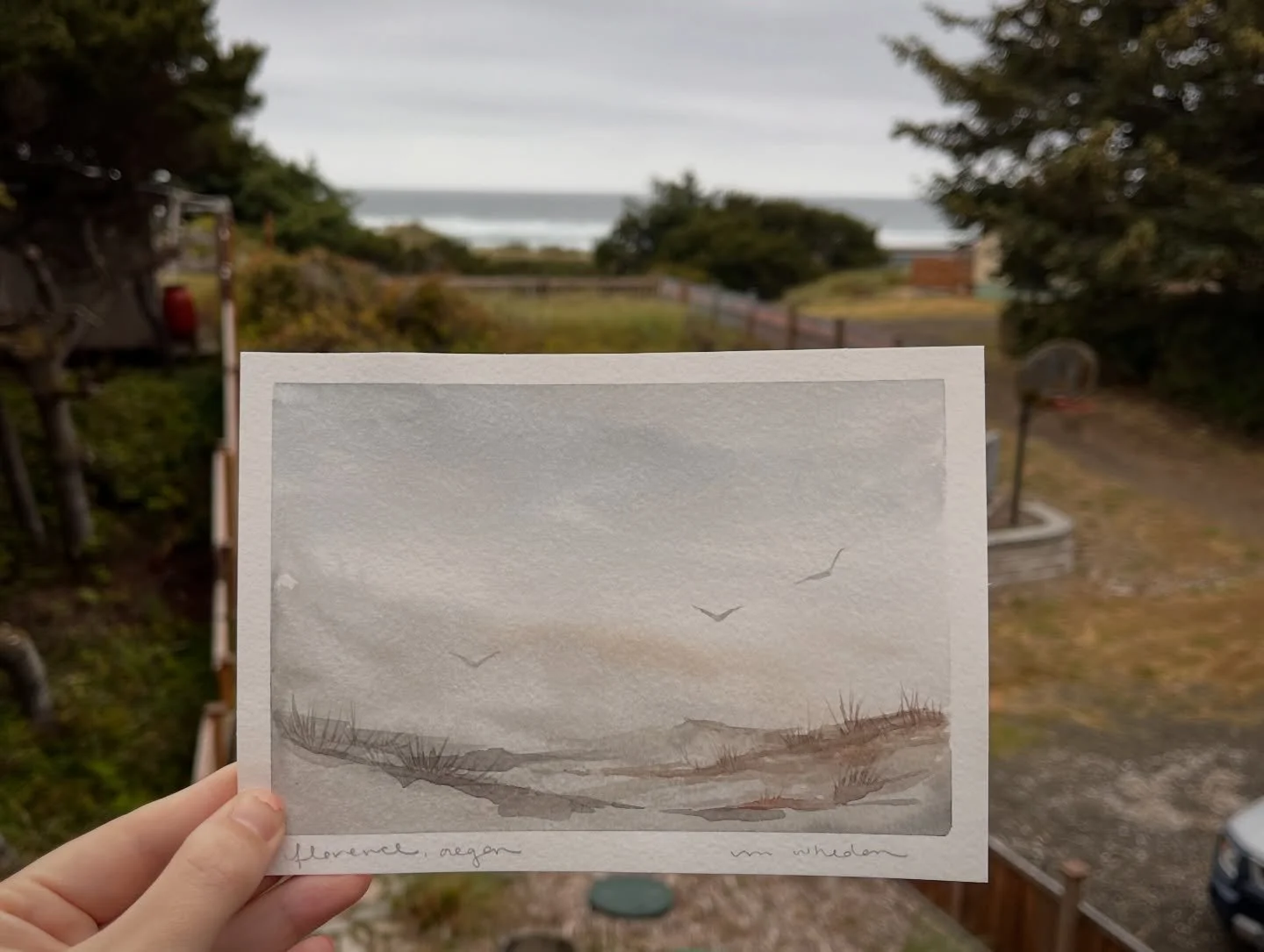 When in Florence (Oregon) 🌊

Mini travel watercolor of the dunes of Florence. Will be available at the next @wildbirdmarket! DM if interested 💛