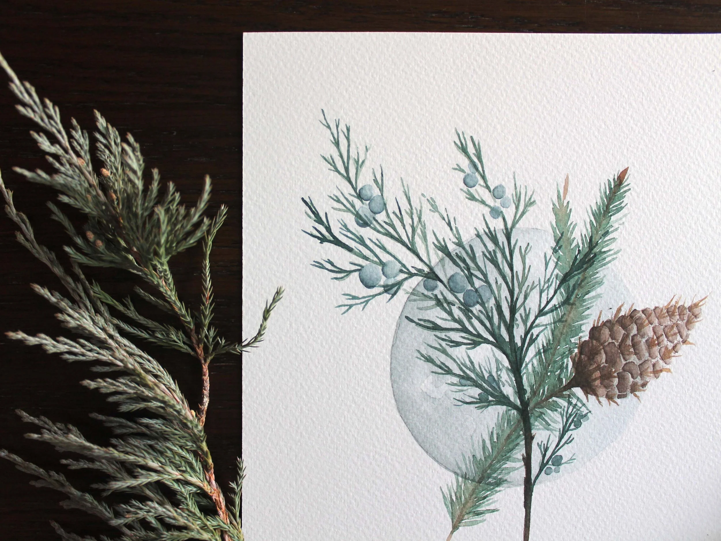 Juniper Moon Print_02.jpg