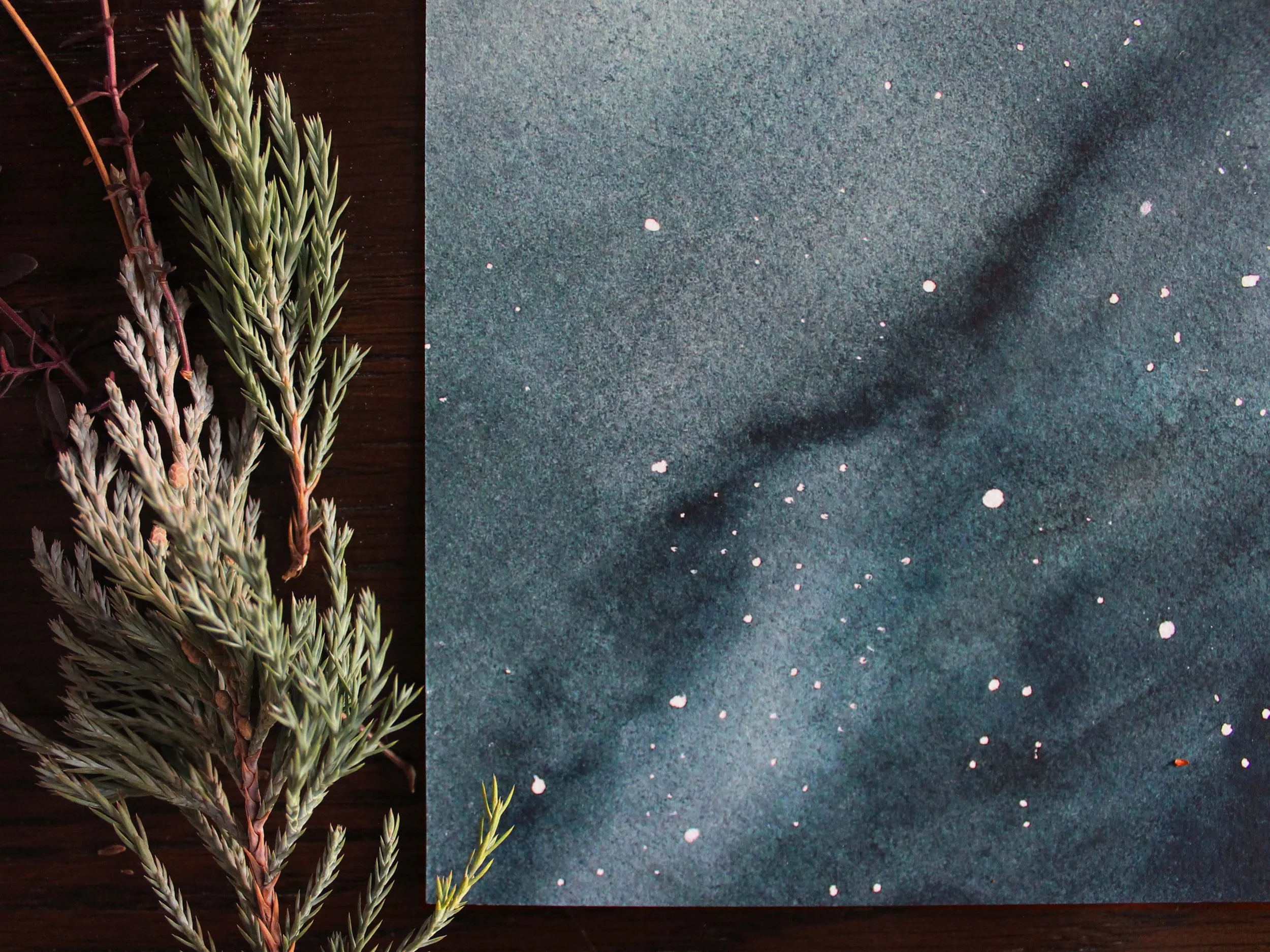 Galaxy Print_02.jpg