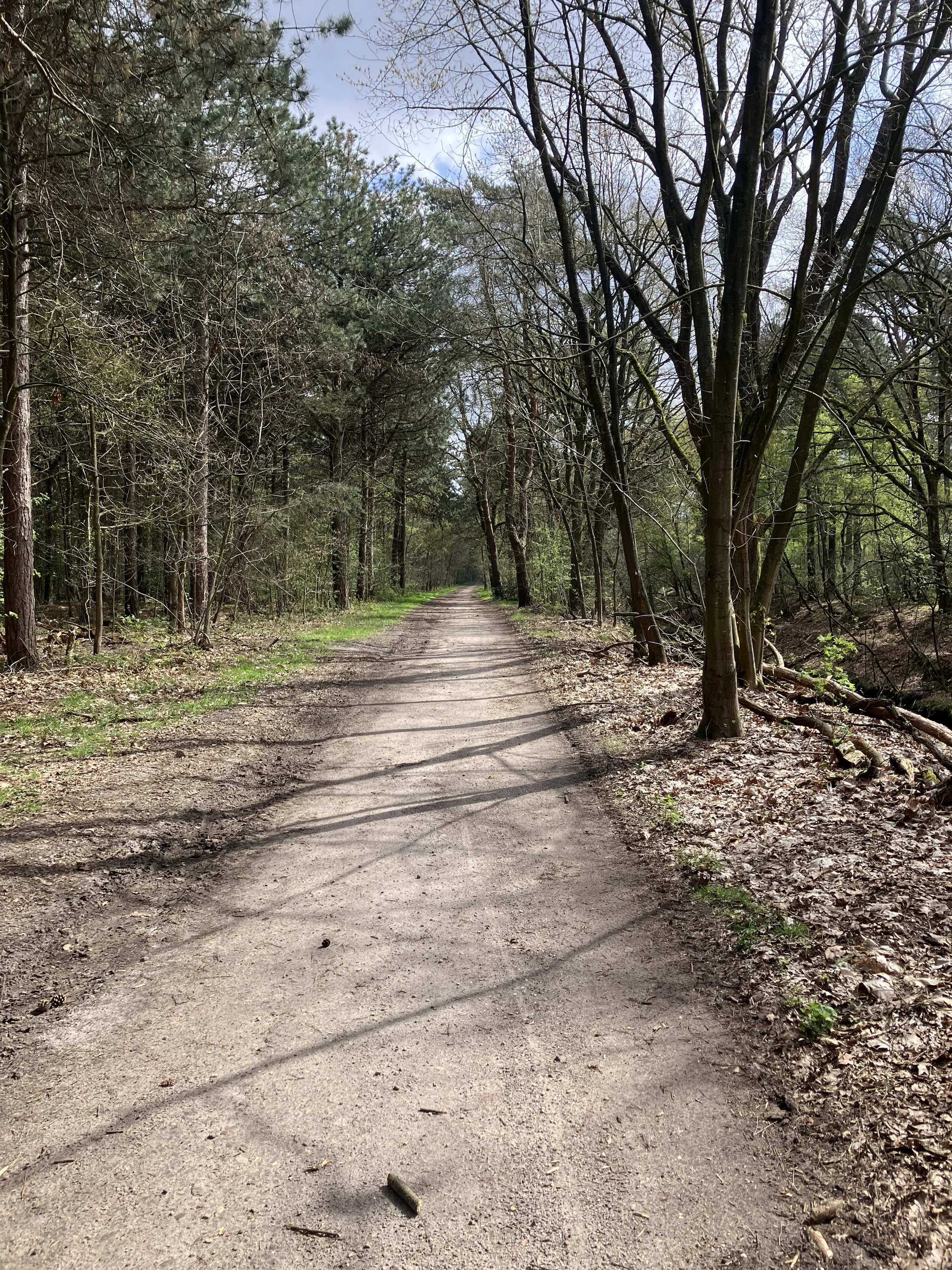 Een bospad met bomen aan beide zijden waar je legaal een Offroad motor rit kunt maken met Allroad motor Guide
