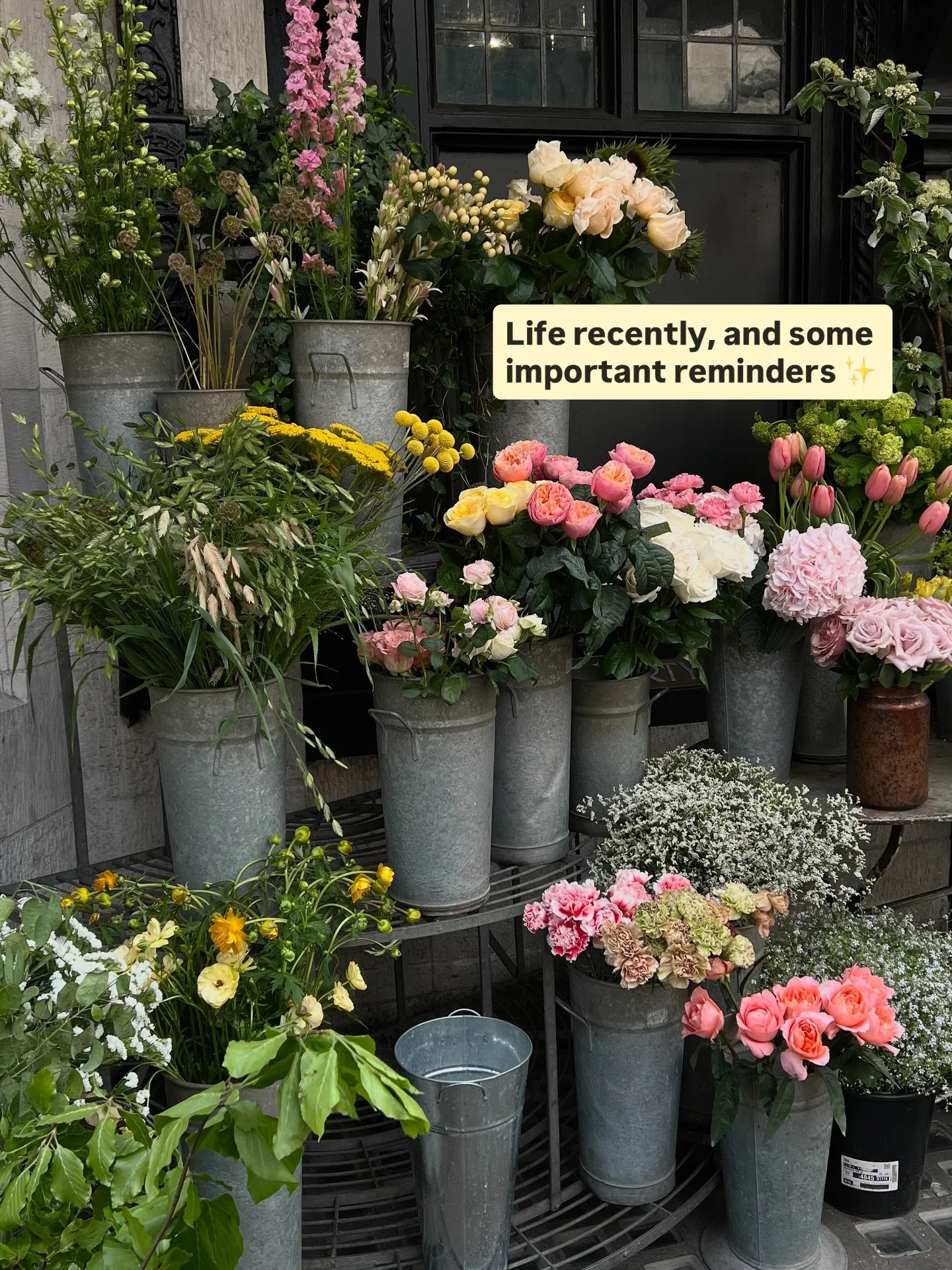 Life recently and some important reminders ✨