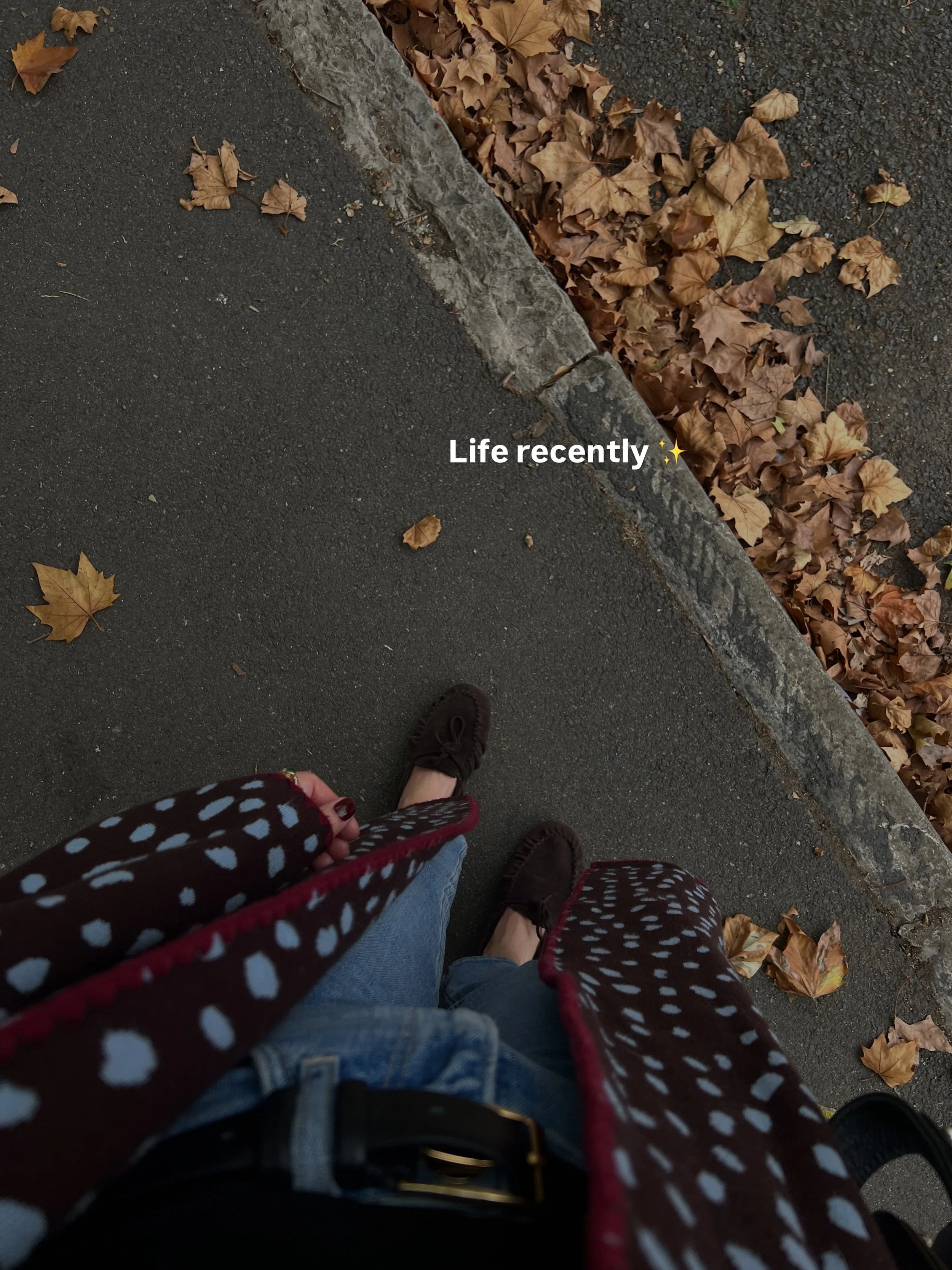 Life recently: my favourite cozy season has arrived, and I am so here for it ✨

#lifeinlondon #londonliving