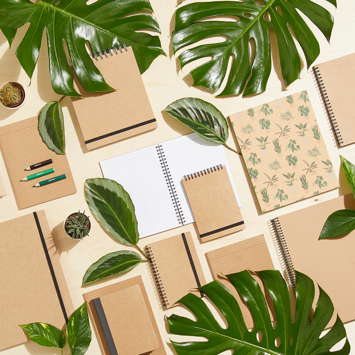 PAPERCHASE